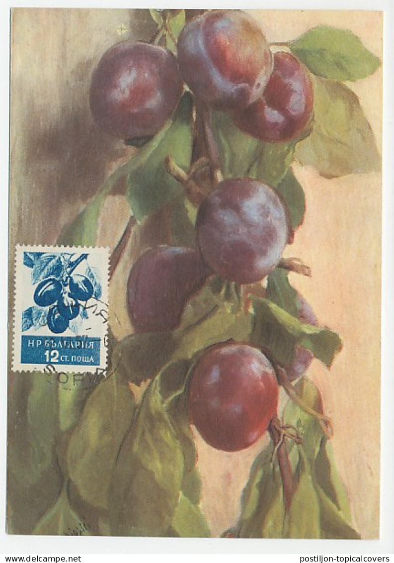 Maximum Card Bulgaria 1957 Plums - Fruit
