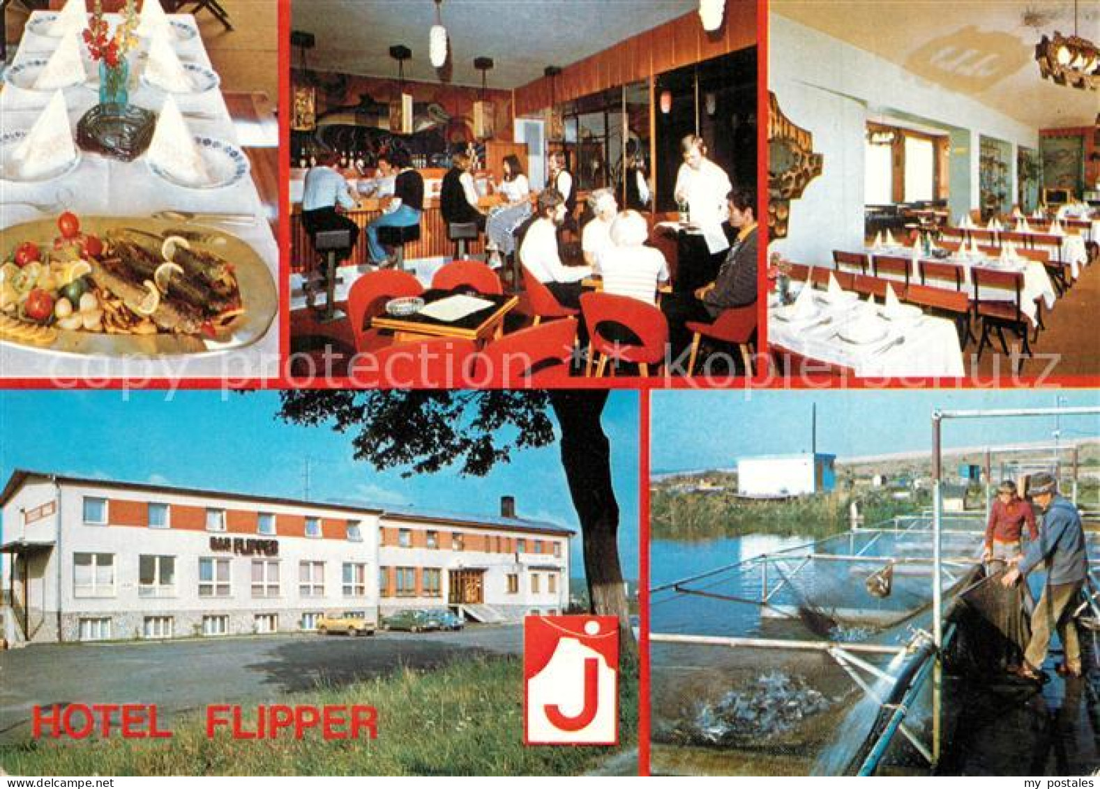 73265466 Javorina Hotel Flipper Javorina - Slowakei