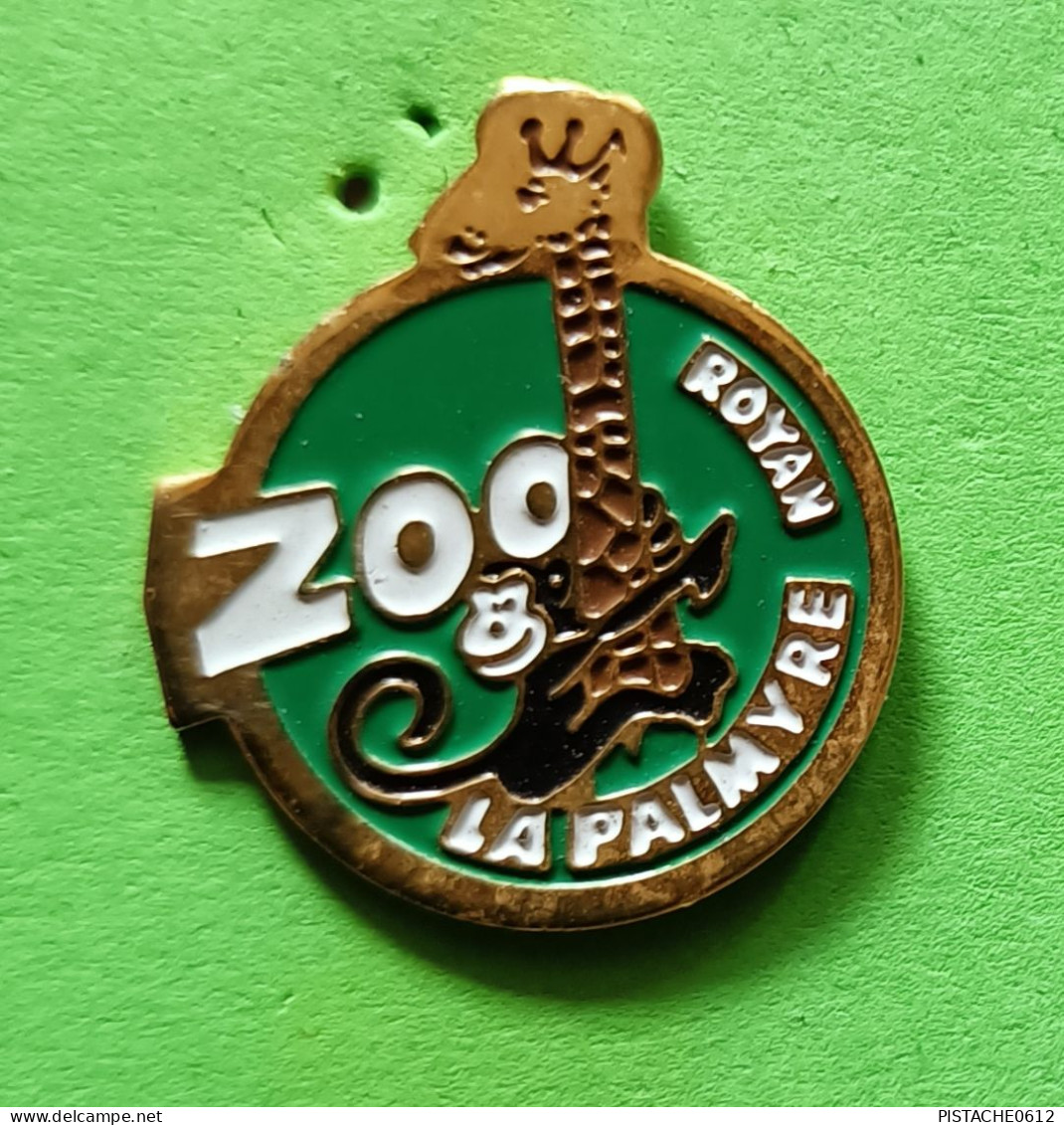 Pin's Zoo La Palmyre Royan Girafe Singe - Dieren