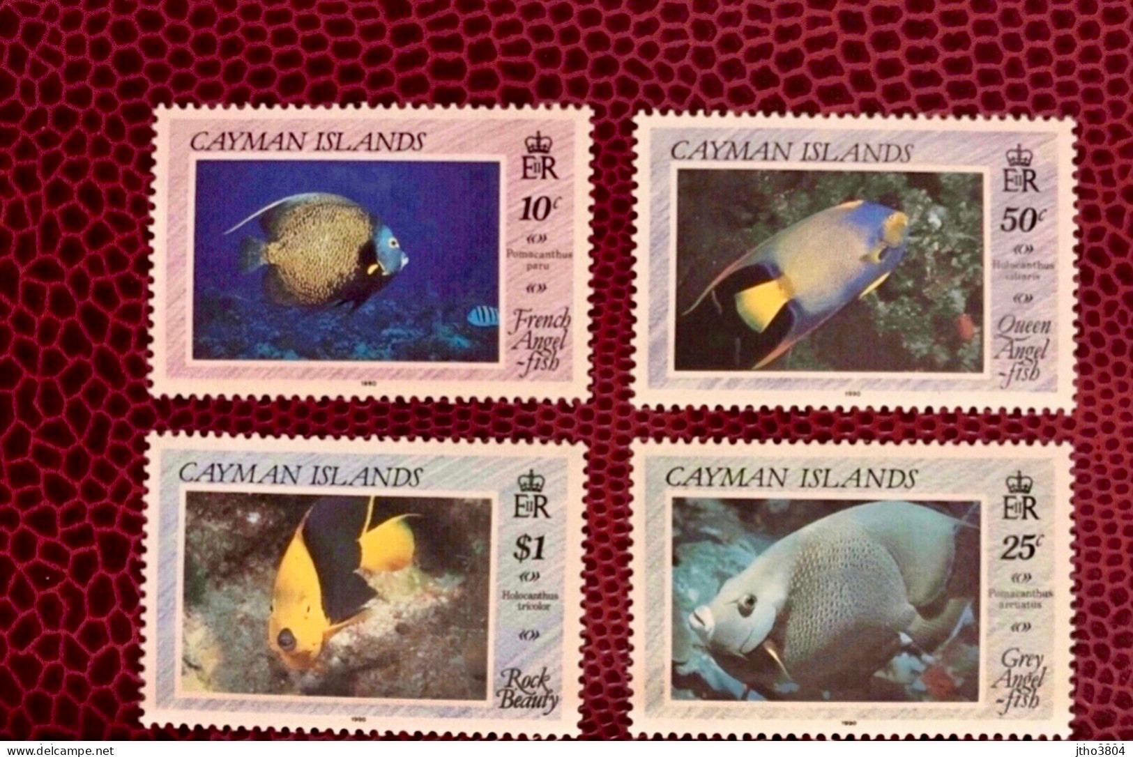 CAYMAN ISLANDS 1990 - 4v Neuf ** MNH YT 652 / 655 Mi 632 / 635 Pesce Poisson Fish Pez Fische KAIMAN INSELN - Poissons