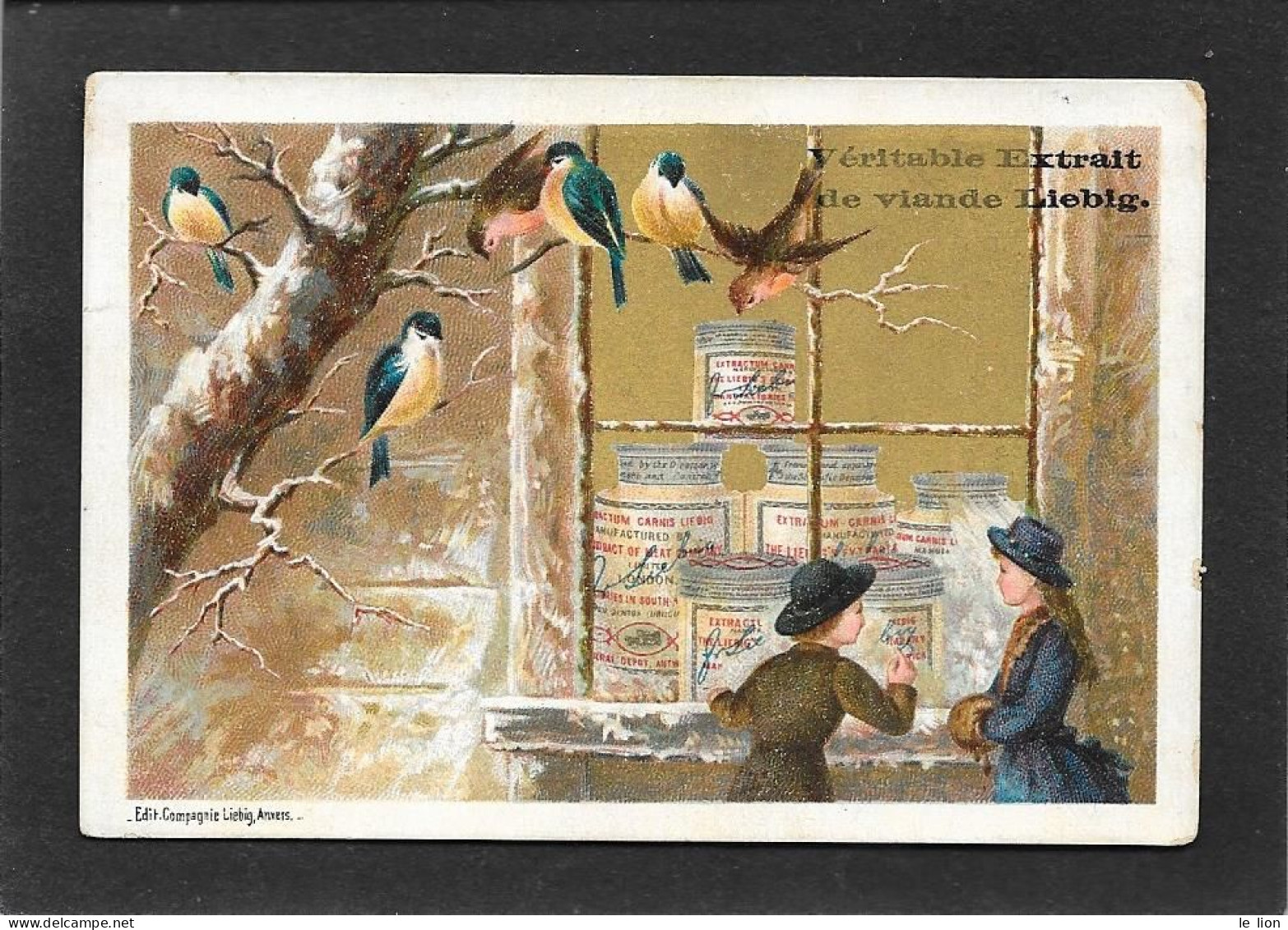 Chromo Liebig FRANCESE S154 PAESAGGI NEVOSI B-vetrina Con Vasi Liebig E Uccelli Su Ramo - 1885 - OTTIMO STATO - Liebig