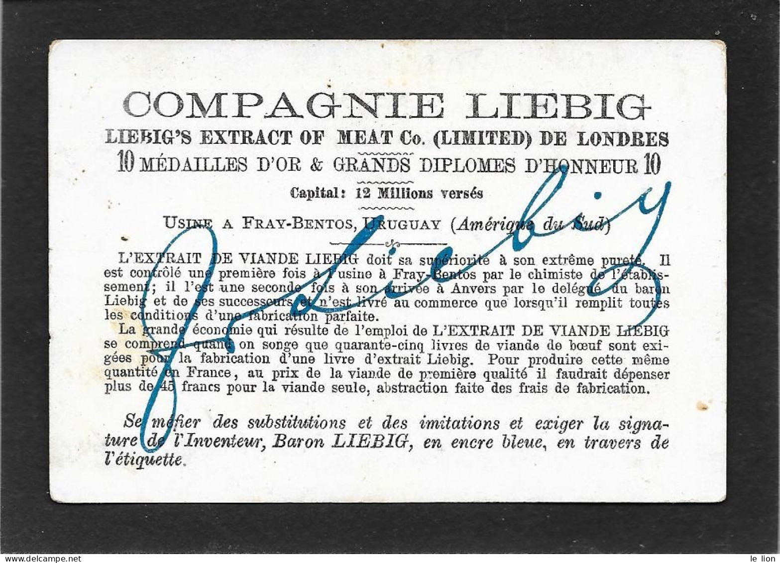 Chromo Liebig FRANCESE S154 PAESAGGI NEVOSI B-vetrina Con Vasi Liebig E Uccelli Su Ramo - 1885 - OTTIMO STATO - Liebig