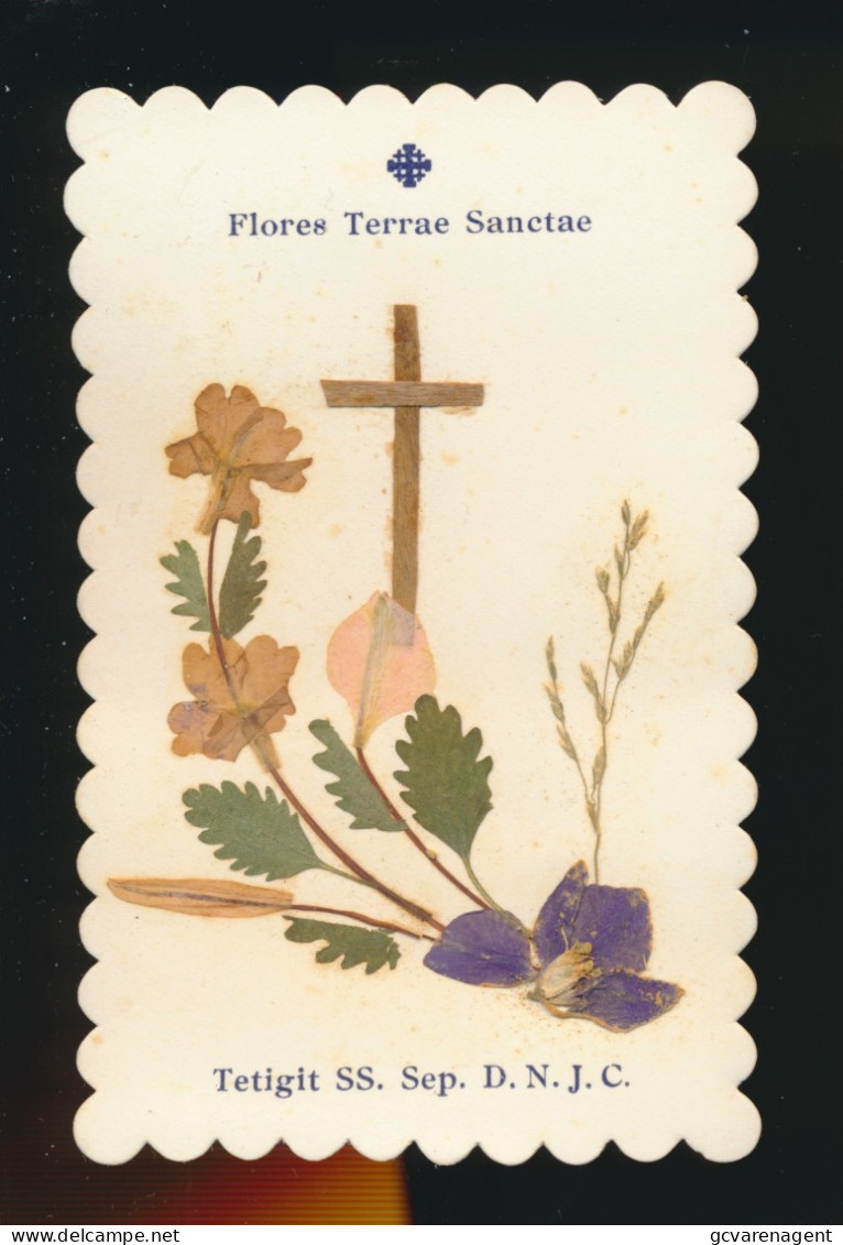 H.PRENTJE , IMAGE PIEUSE.  ==   FLORES TERRAE SANCTAE    . COLLAGE       +-   10 X 6 CM - Devotion Images