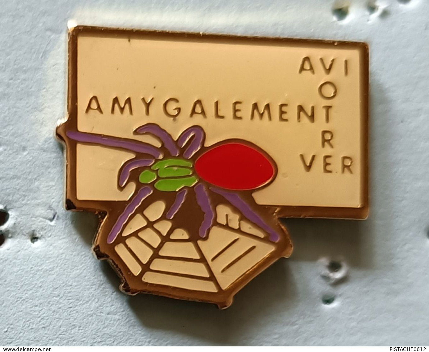 Pin's Amygalement Votre Mygale Araignée Signé Exor Germany - Animals