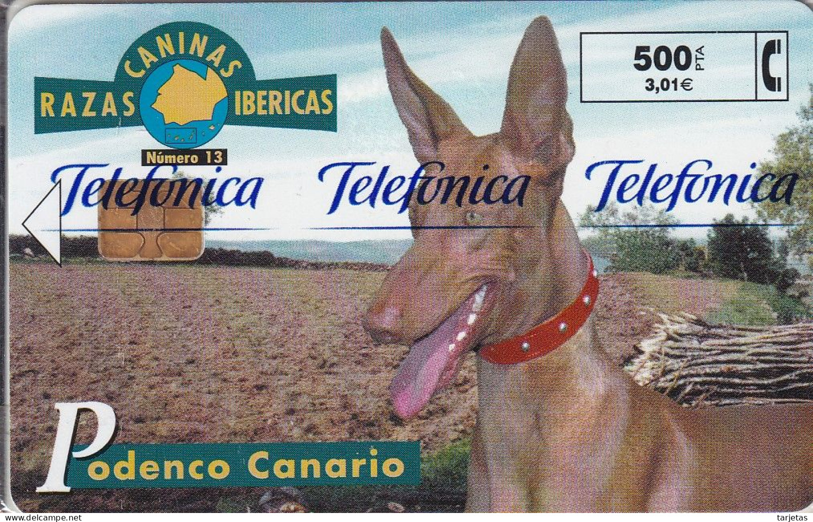 Nº13 PODENCO CANARIO DE LA SERIE RAZAS CANINAS IBERICAS DE TIRADA 4400 (NUEVA-MINT) CAN-DOG-PERRO - Emisiones Privadas