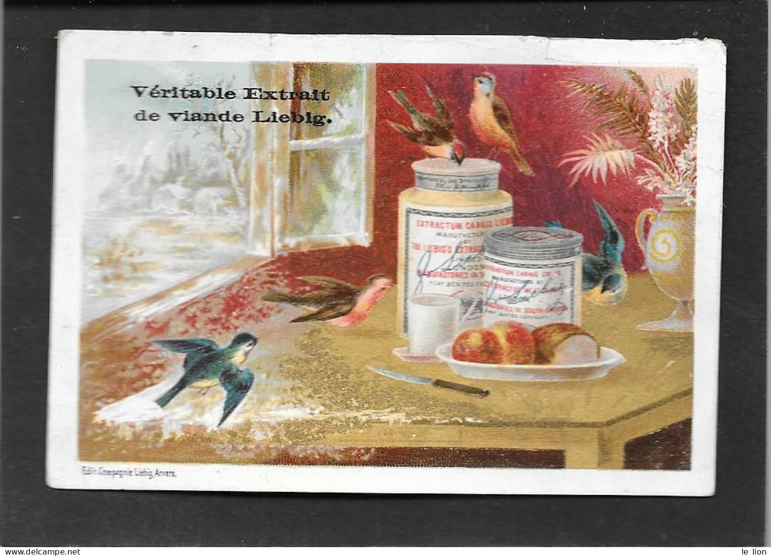 Chromo Liebig FRANCESE S154 PAESAGGI NEVOSI C-Tavolo Con Vasi E 5 Uccelli - 1885 - Liebig