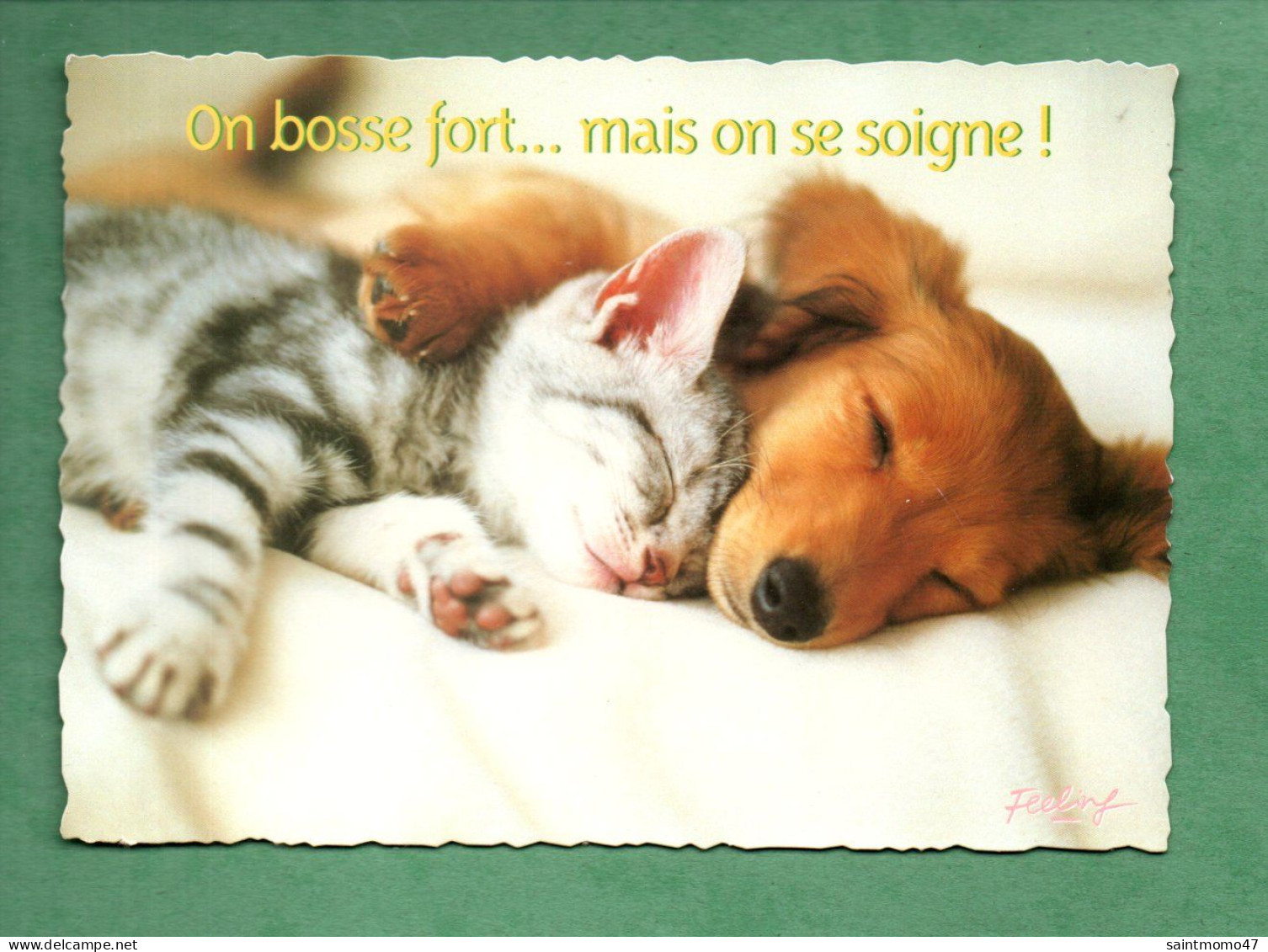 CHIEN . CHAT . " ON BOSSE FORT... MAIS ON SE SOIGNE ! " - Réf. N°12994 - - Katzen