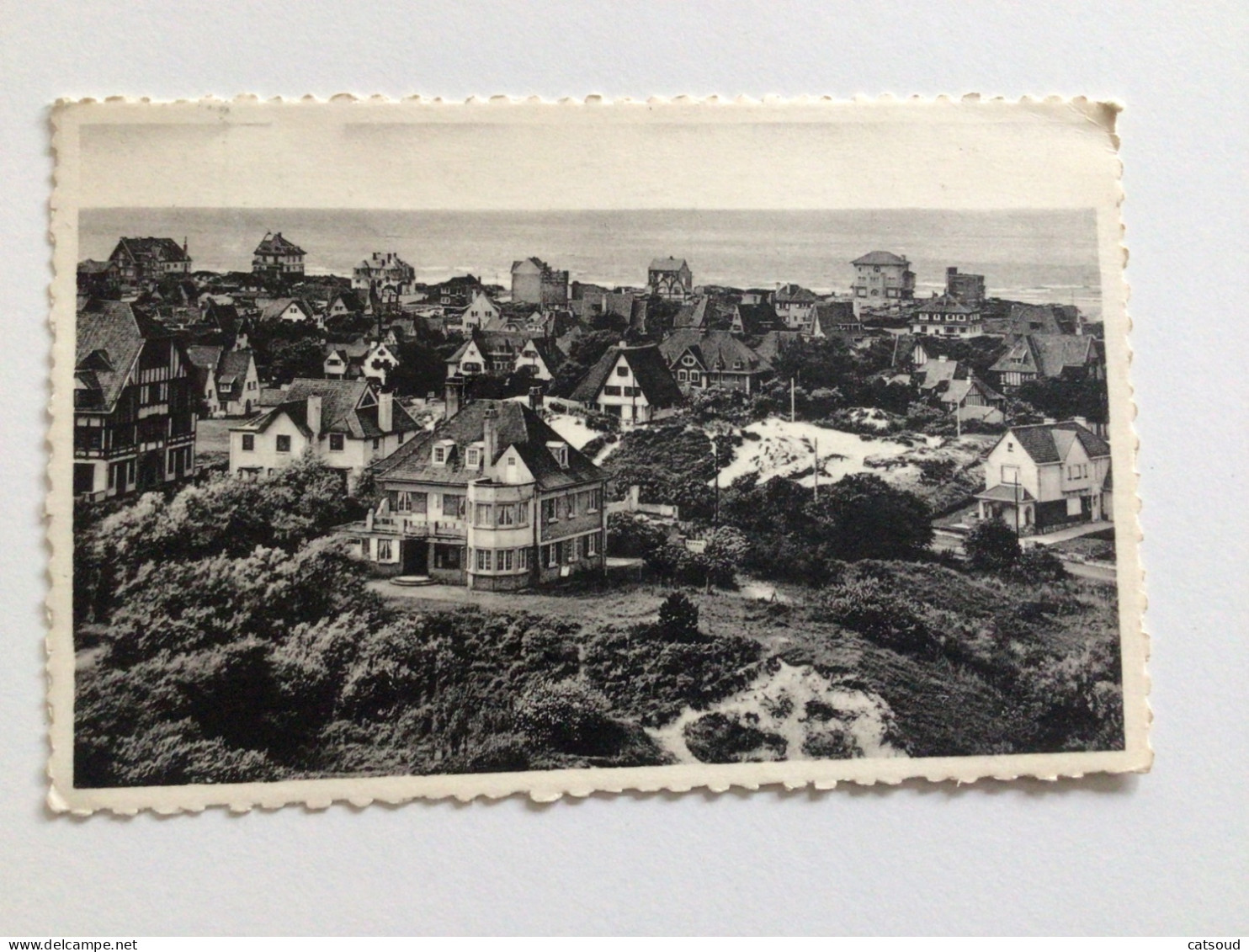 Carte Postale Ancienne (1962) COQ S/Mer Den Haan A/Zee Panorama - Algemeen - De Haan