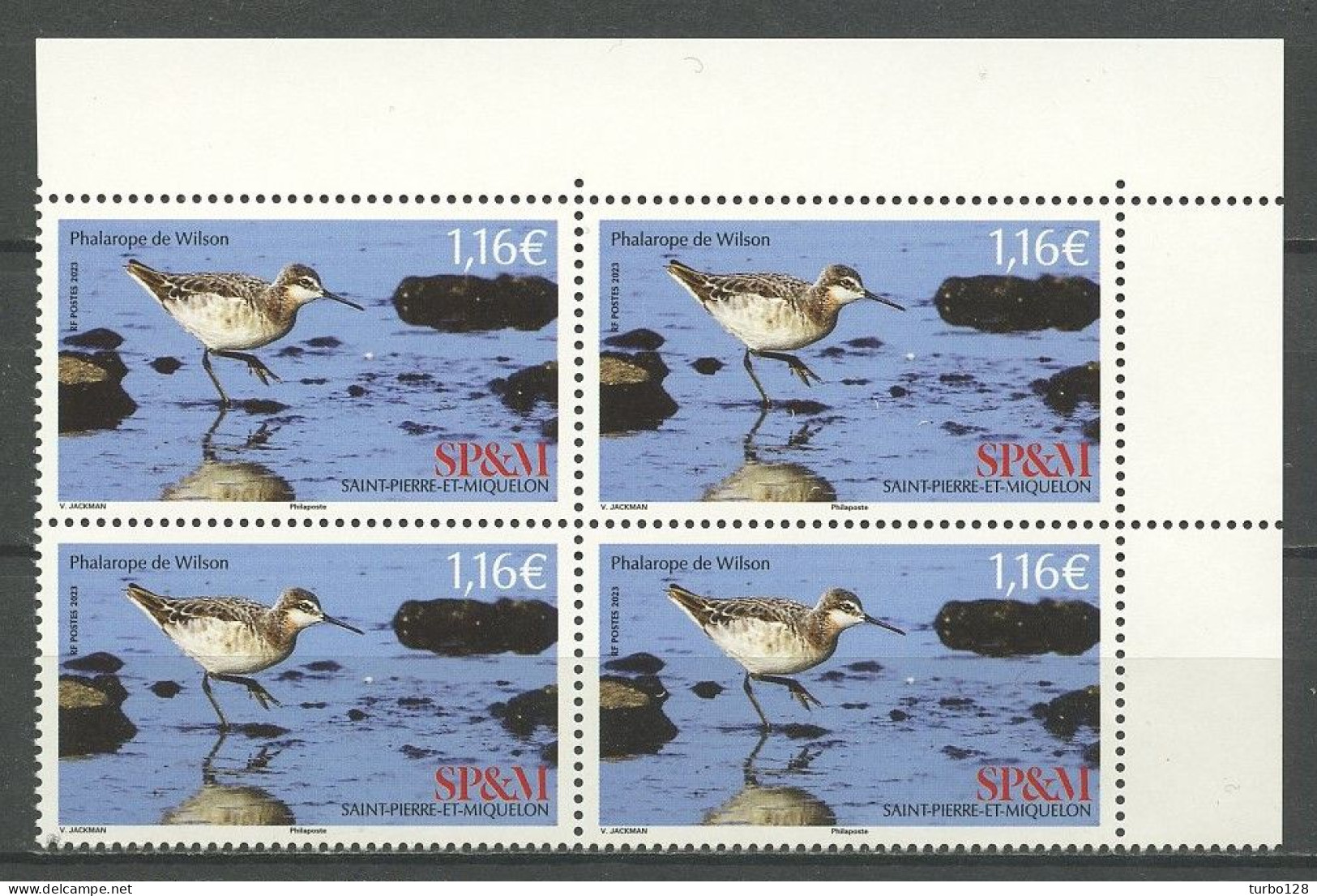 SPM Miquelon 2022 N° 1301 ** Bloc De 4  Neuf MNH Superbe Faune Oiseaux Birds Phalarope De Wilson Animaux - Unused Stamps