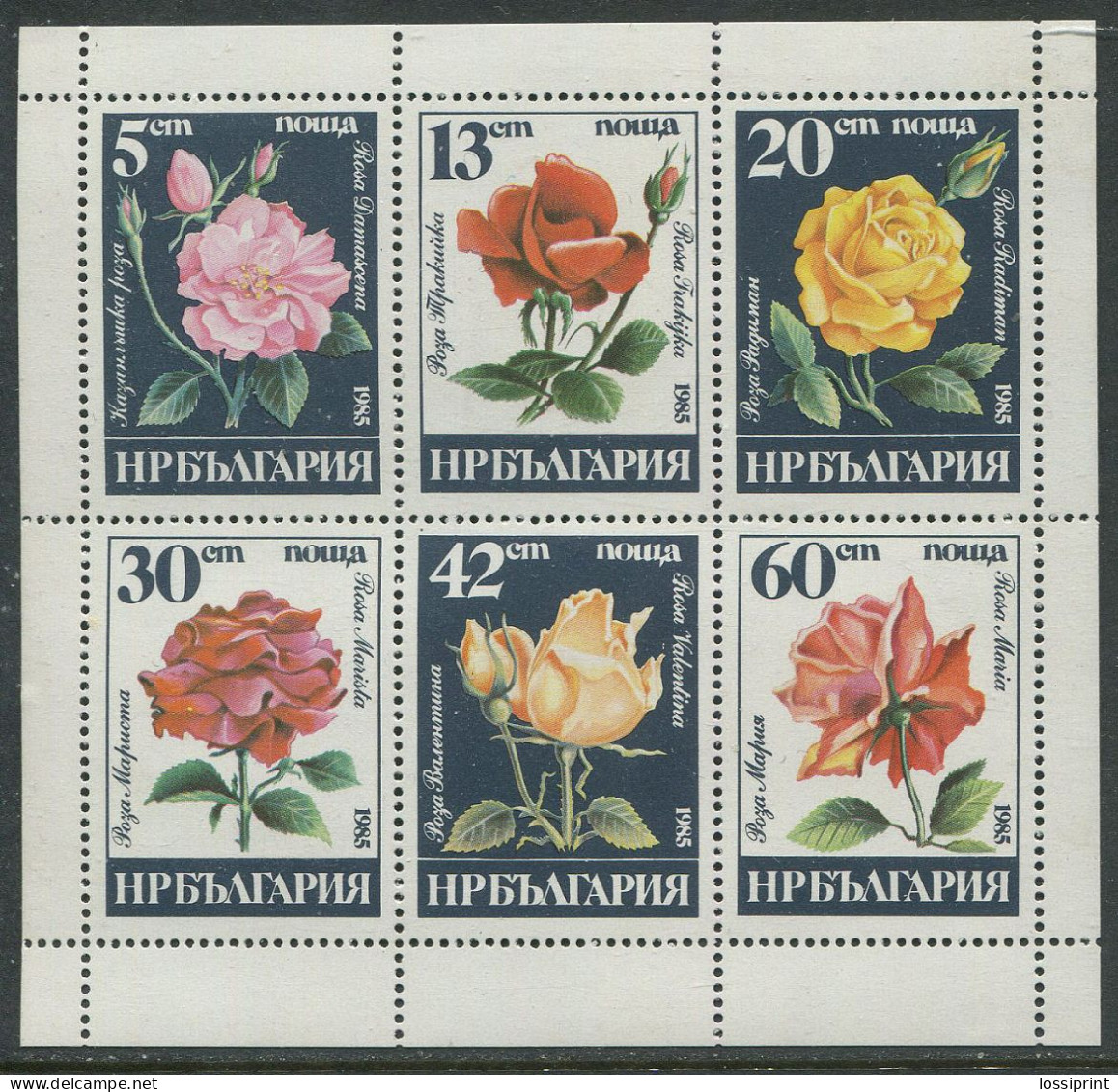 Bulgaria:Unused Block Flowers, Roses, 1985, MNH - Rose