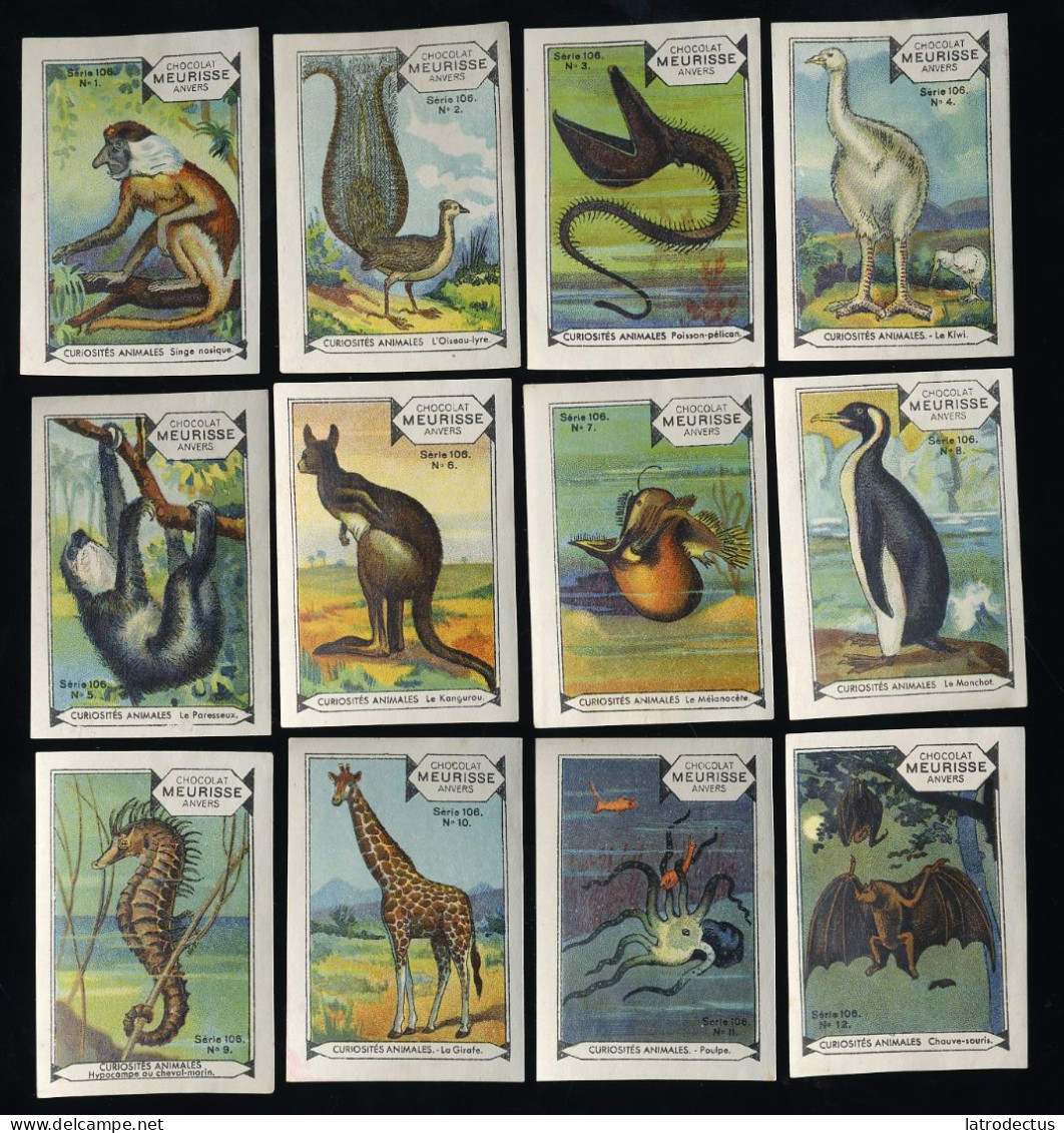 Meurisse - Ca 1930 - 106 - Curiosités Animales, Strange Animals - Full Serie - Sonstige & Ohne Zuordnung