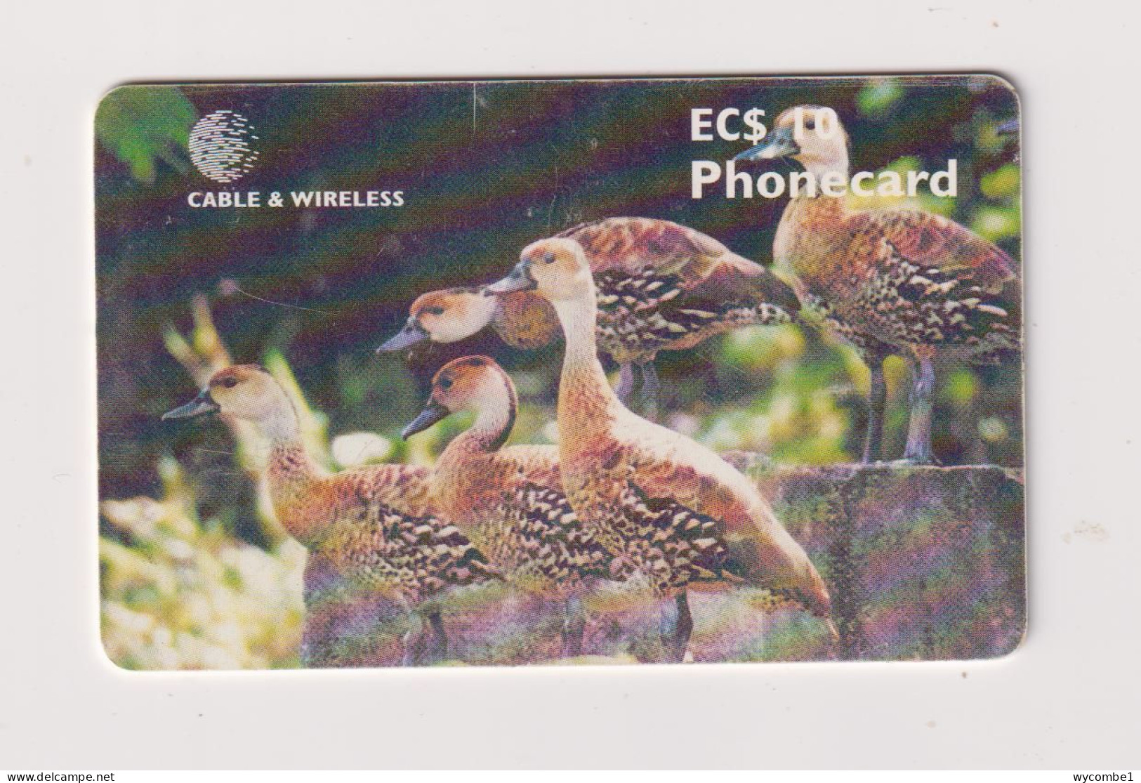 ANTIGUA AND BARBUDA -  Tree Ducks Chip  Phonecard - Antigua En Barbuda