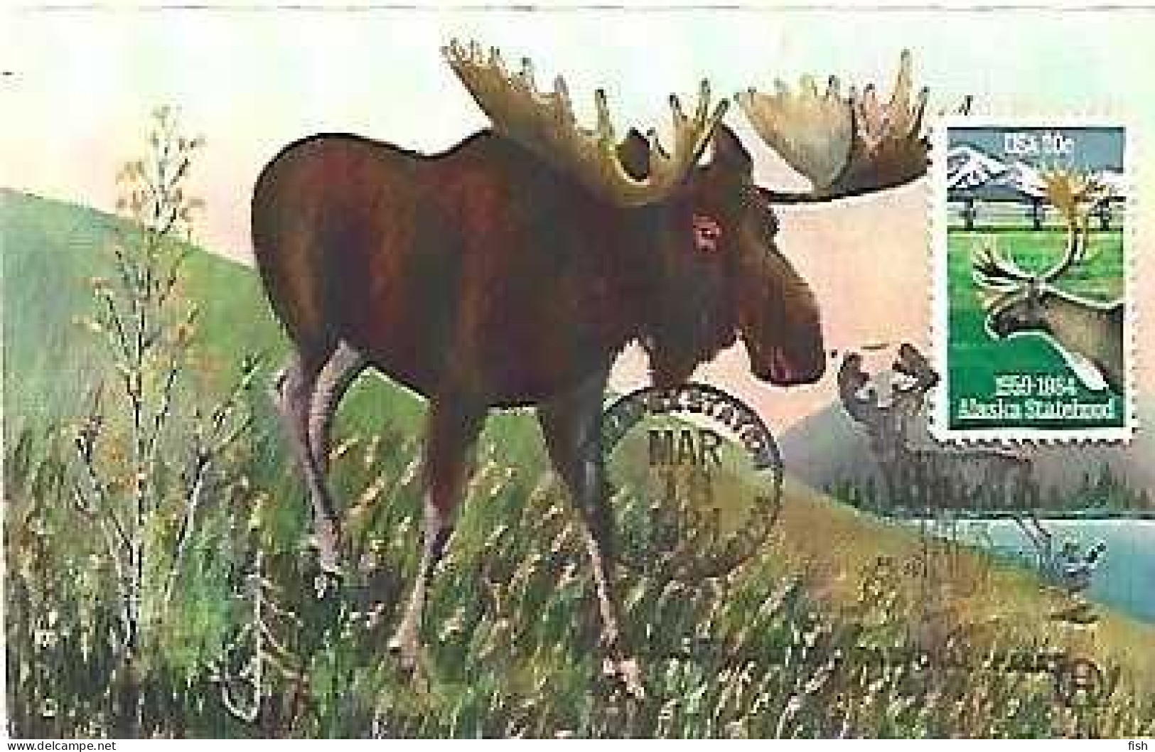 United States &  Maximum Card,  American Wild Life The Alaskan Bull Moose 1984 (888765) - Otros & Sin Clasificación