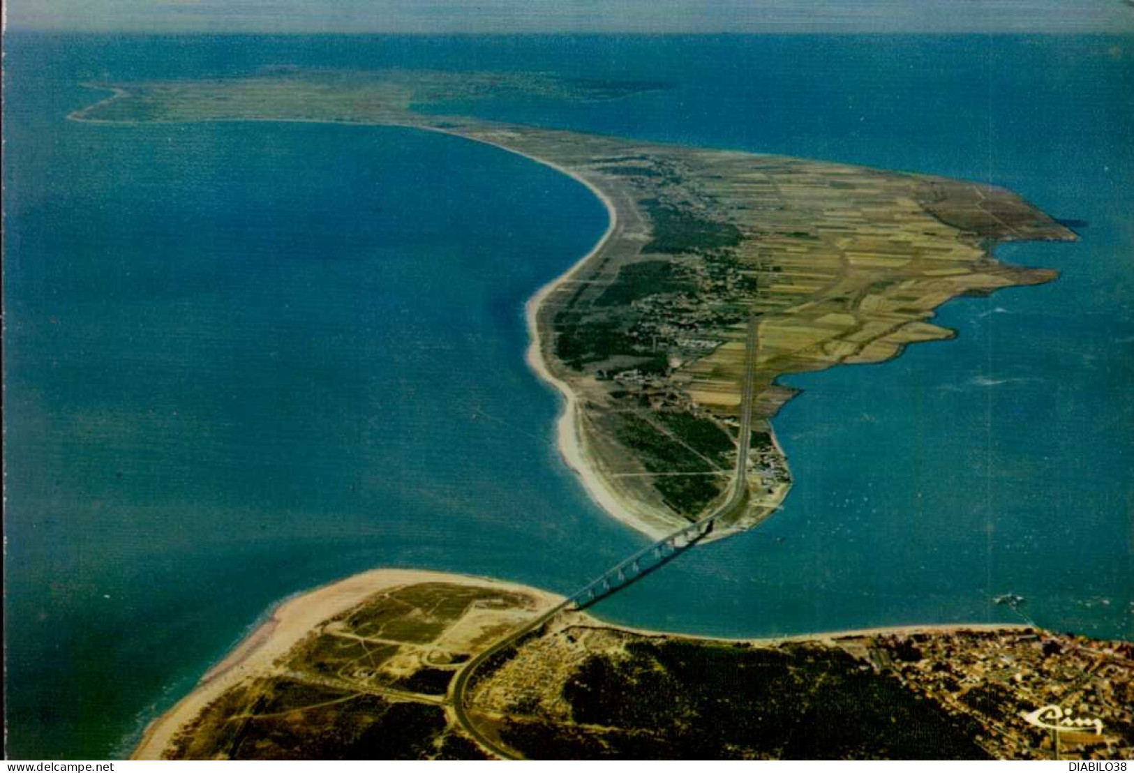 NOIRMOUTIER      ( VENDEE )  VUE PANORAMIQUE AERIENNE - Noirmoutier