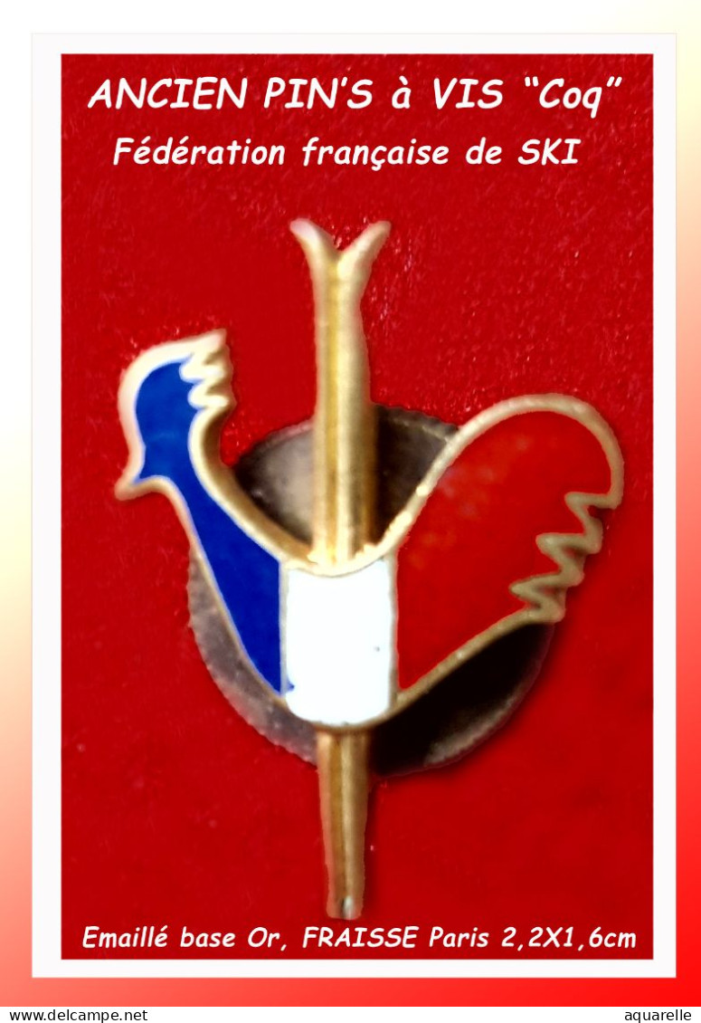 SUPER PIN'S "Ancien PIN'S à VIS, COQ De La FEDERATION FRANCAISE De SKI", émail Bleu, Blanc, Rouge" Base éil Or  1,5X2,3c - Tiere