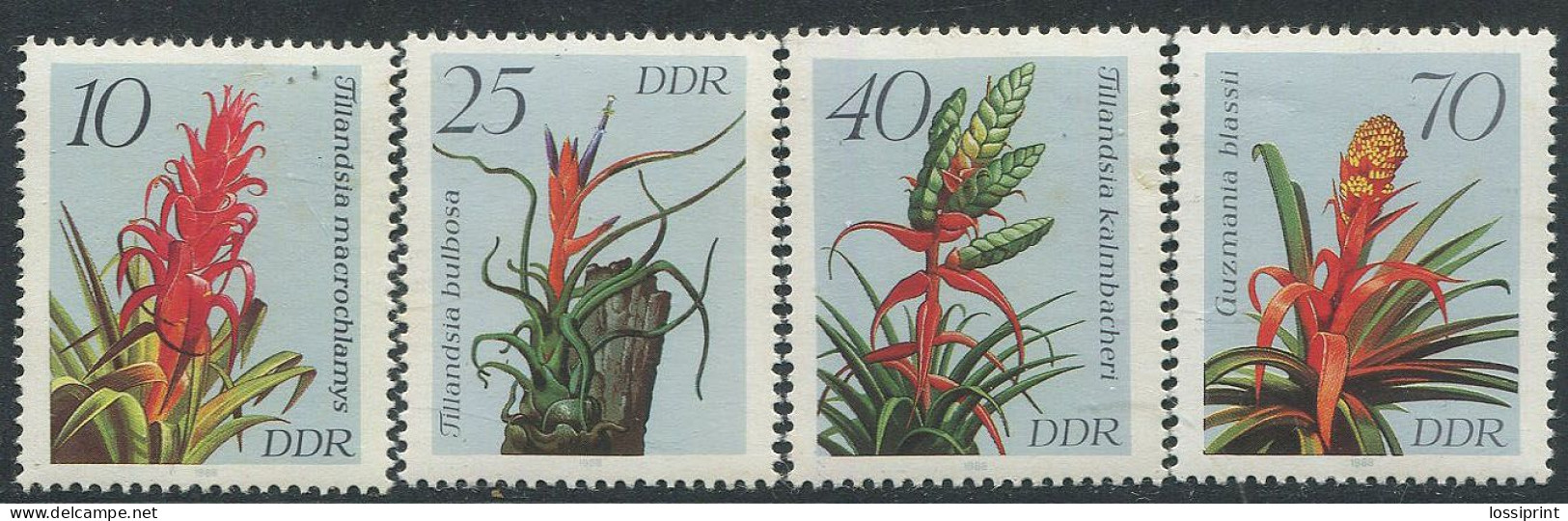 DDR:East Germany:Unused Stamps Serie Flowers, 1988, MNH - Andere & Zonder Classificatie