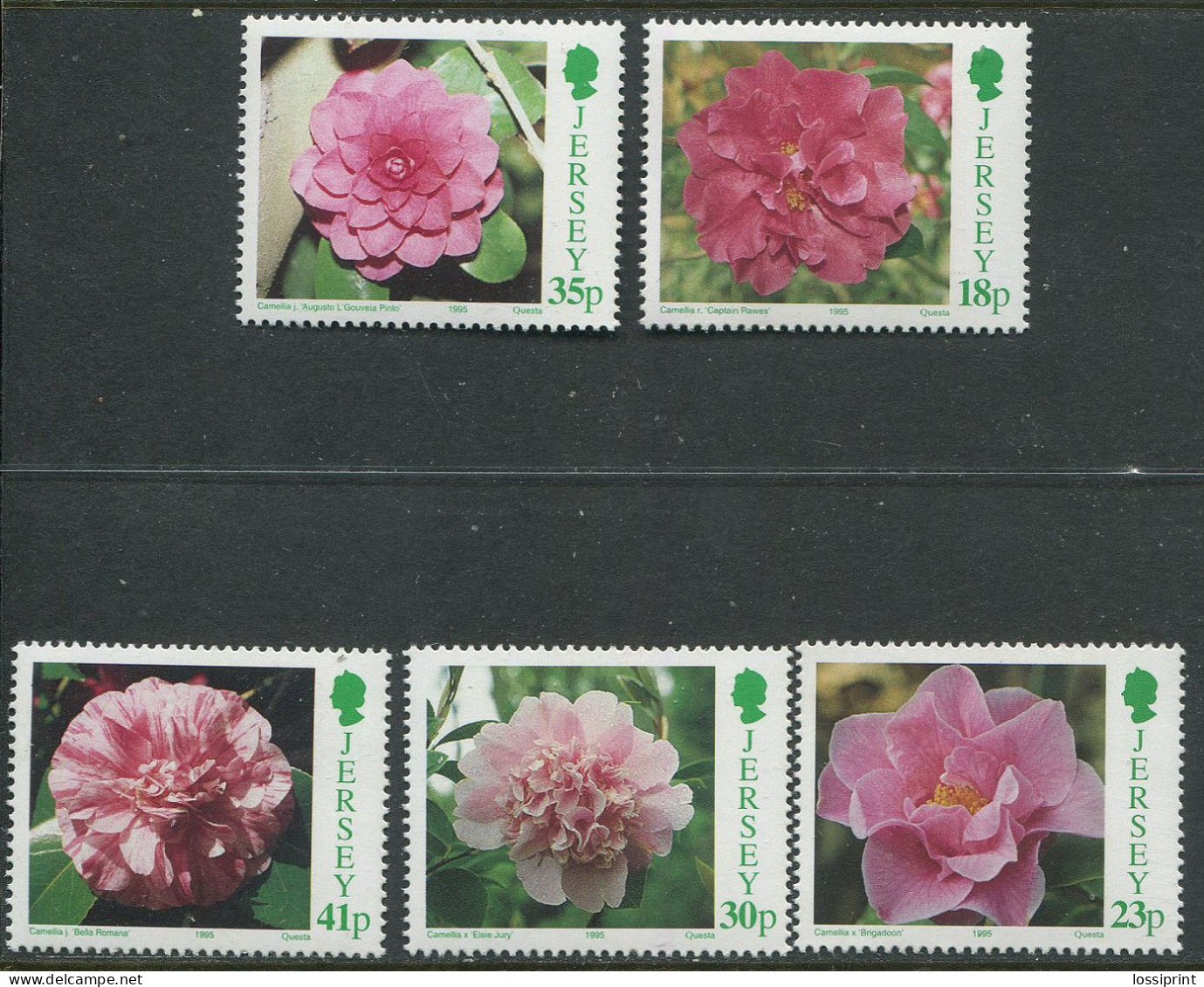 Jersey:Unused Stamps Serie Flowers, 1995, MNH - Andere & Zonder Classificatie