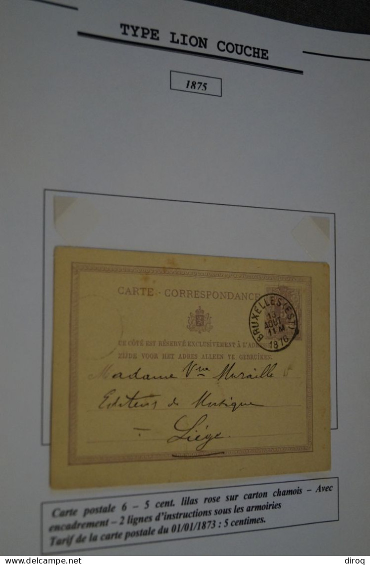 Type Lion Couché 1875, Une Cartes N° 6,oblitération De 1876 Pour Collection Voir Photos - Cartes Postales 1871-1909