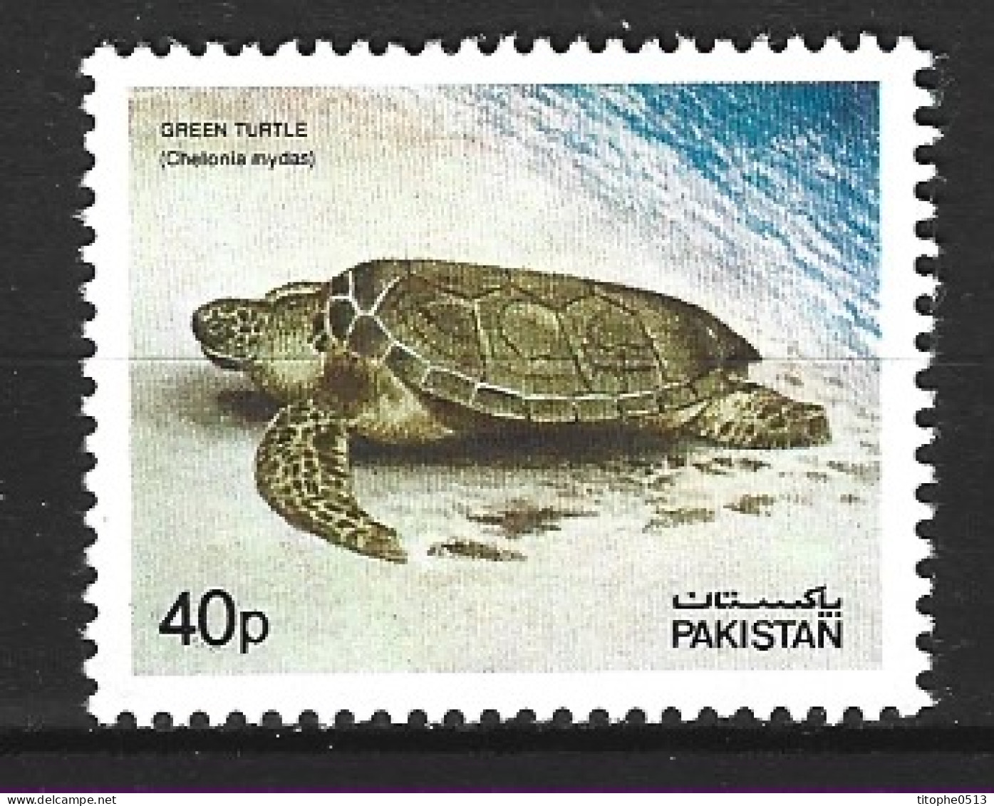 PAKISTAN. N°534 De 1981. Tortue. - Turtles