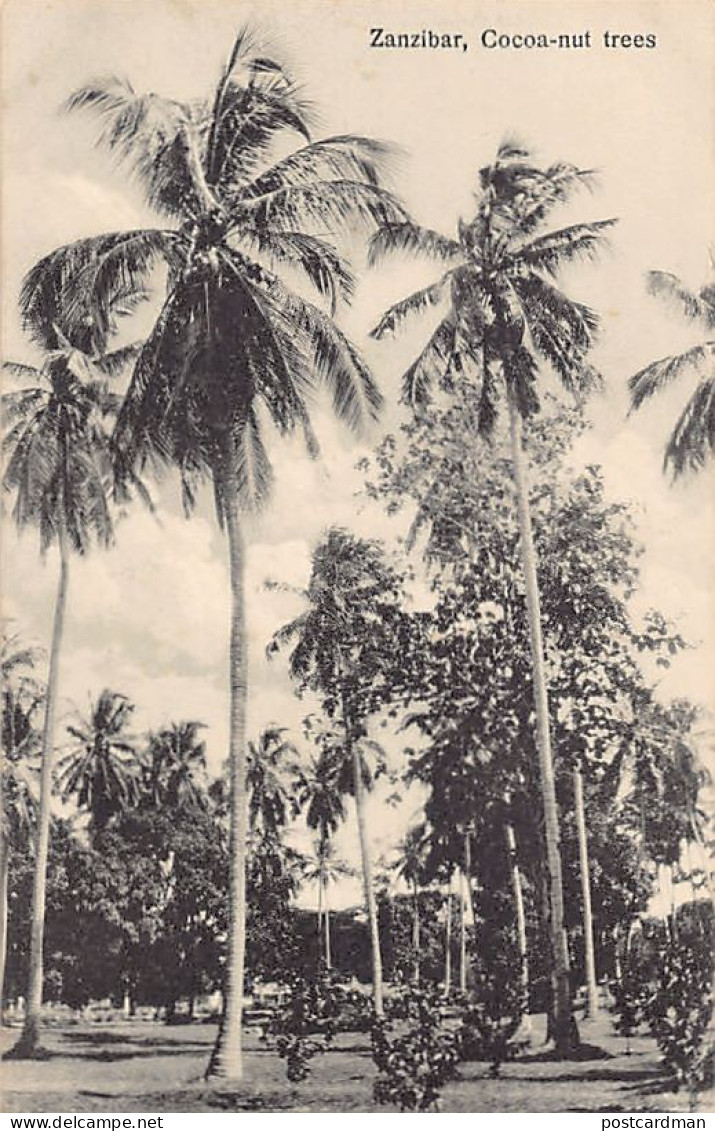 Tanzania - ZANZIBAR - Cocoanut Trees - Publ. A. R. P. De Lord  - Tanzanie