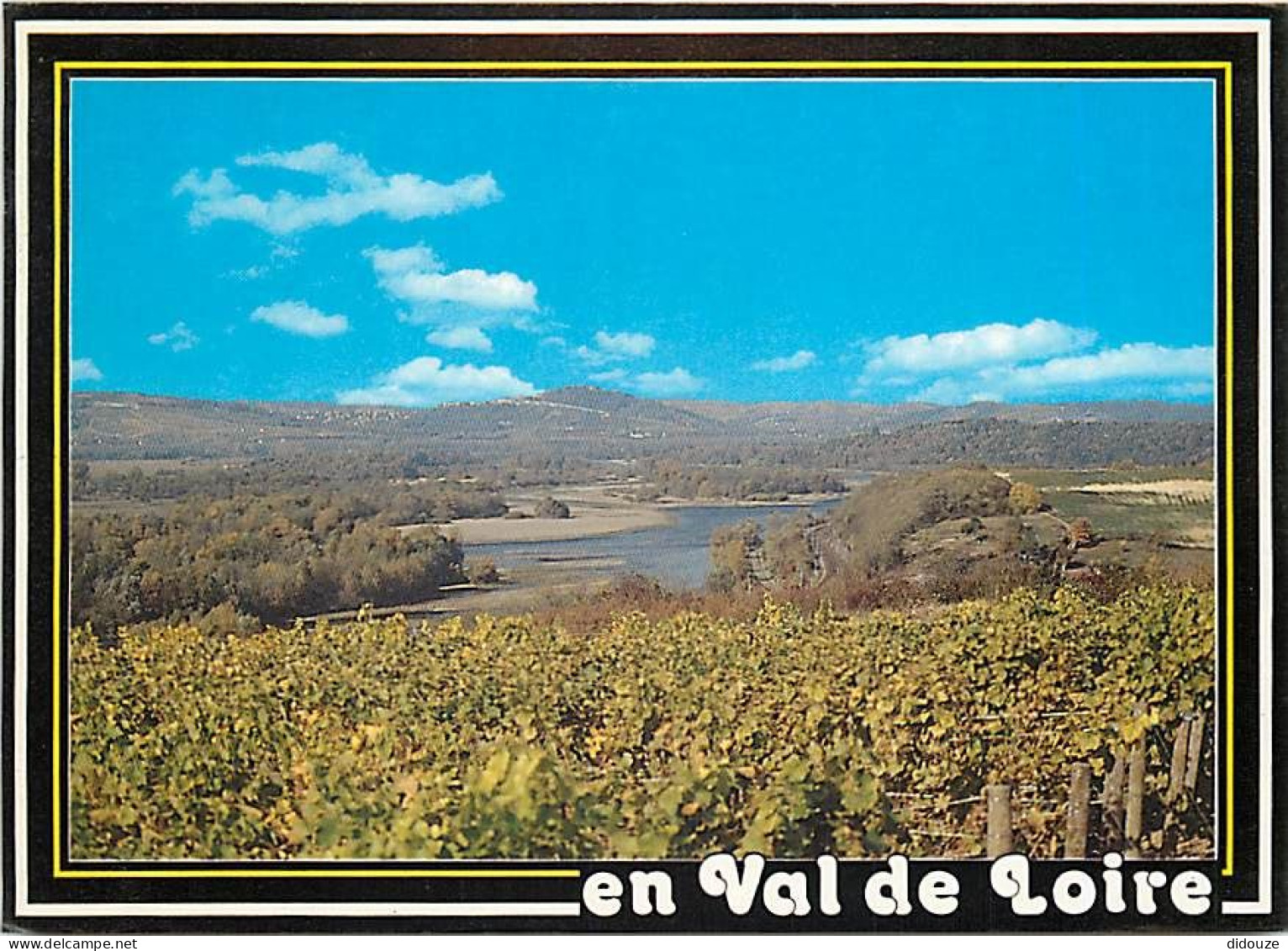 Vignes - Val De Loire - Vignoble Des Bords De Loire - CPM - Voir Scans Recto-Verso - Wijnbouw