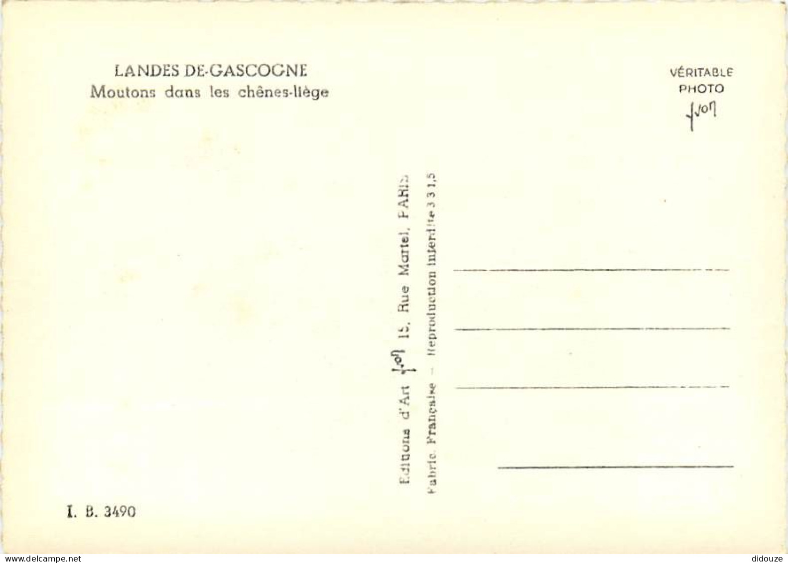 40 - Landes - Landes De Gascogne - Moutons Dans Les Chênes-liège - Animée - Mention Photographie Véritable - Carte Dente - Autres & Non Classés