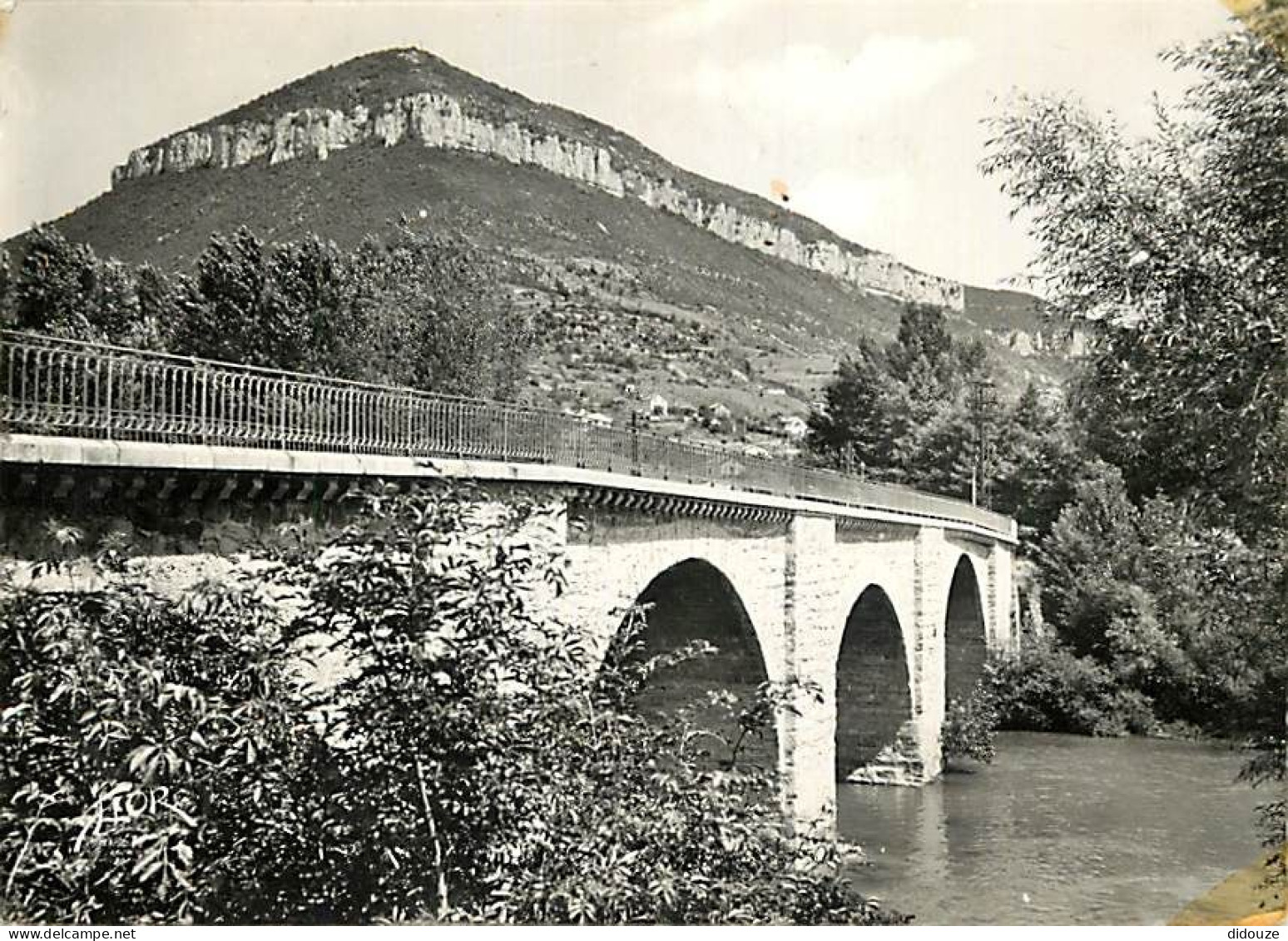 12 - Millau - Pont De Cureplat Et Pic D'Agast  - Carte Dentelée - CPSM Grand Format - Voir Scans Recto-Verso - Millau