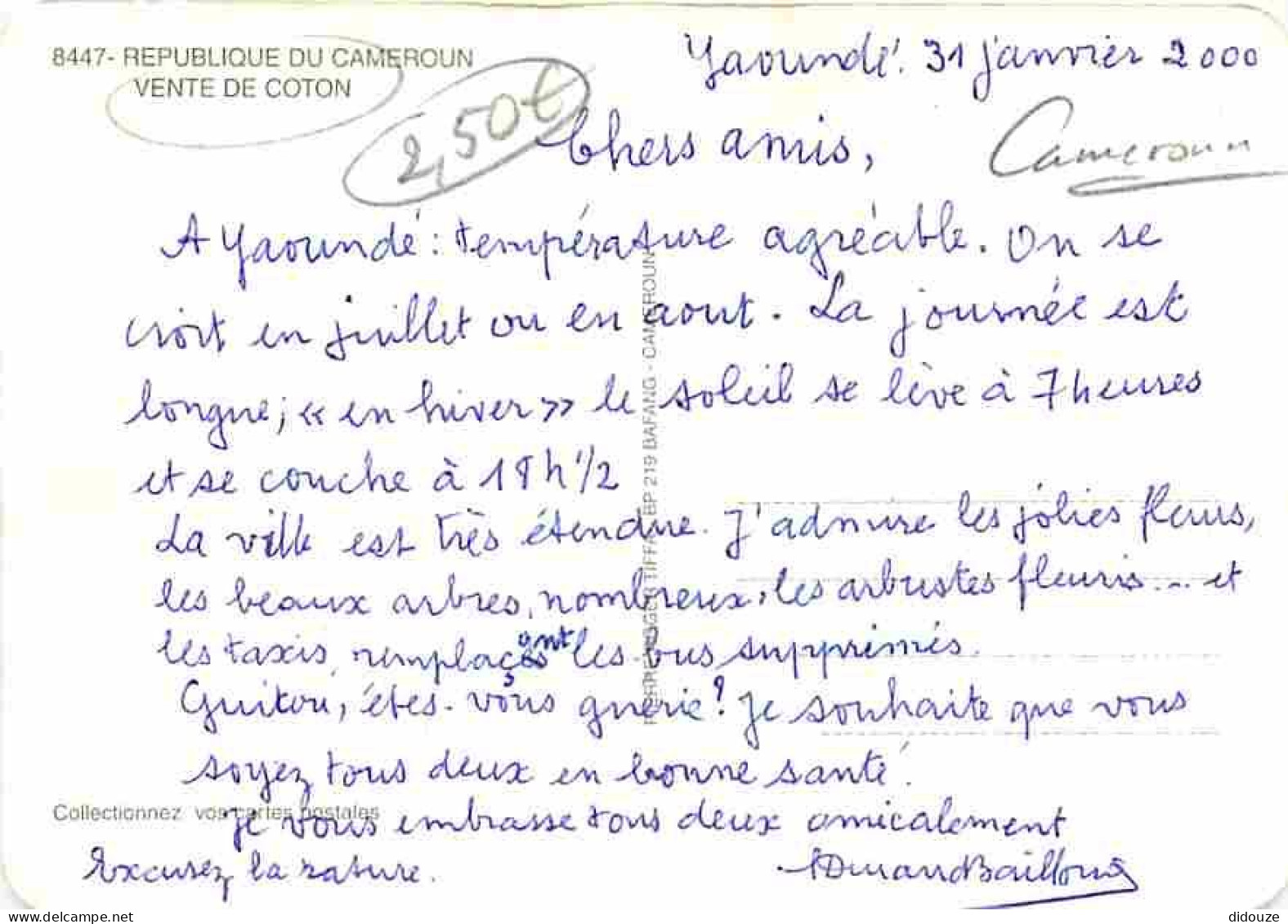 Cameroun - Vente De Coton - Voyagée En 2000 - CPM - Voir Scans Recto-Verso - Cameroun