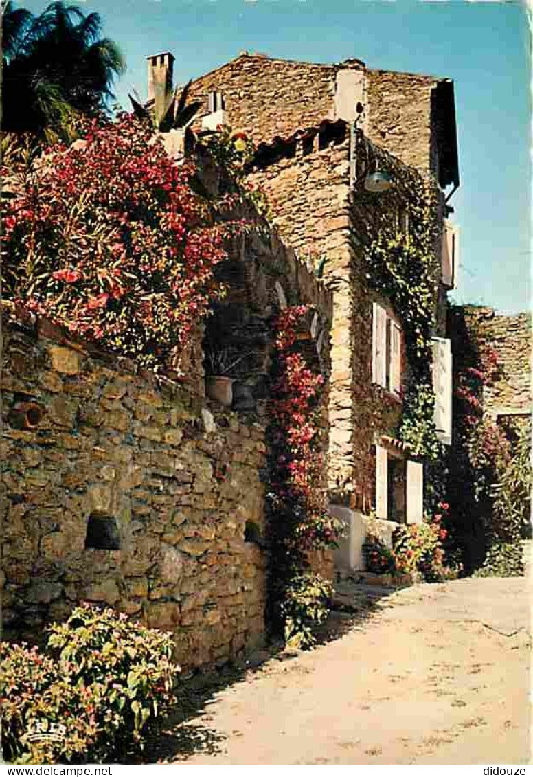 83 - Bormes Les Mimosas - Rue Fleurie - Fleurs - CPM - Voir Scans Recto-Verso - Bormes-les-Mimosas