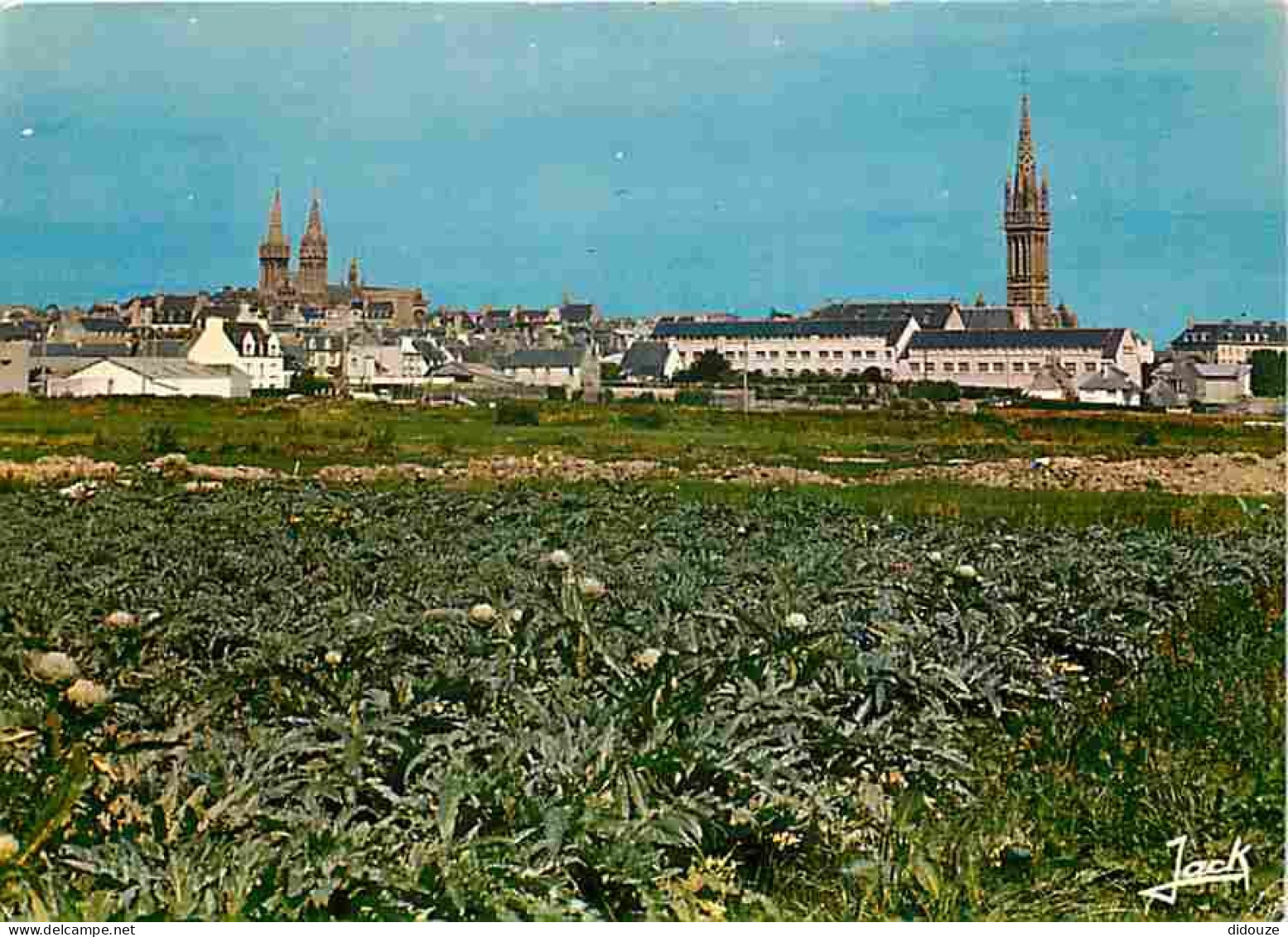 29 - Saint Pol De Léon - La Cathédrale - Le Kreisker - Vus Des Champs D'artichauts - Voir Scans Recto Verso  - Saint-Pol-de-Léon