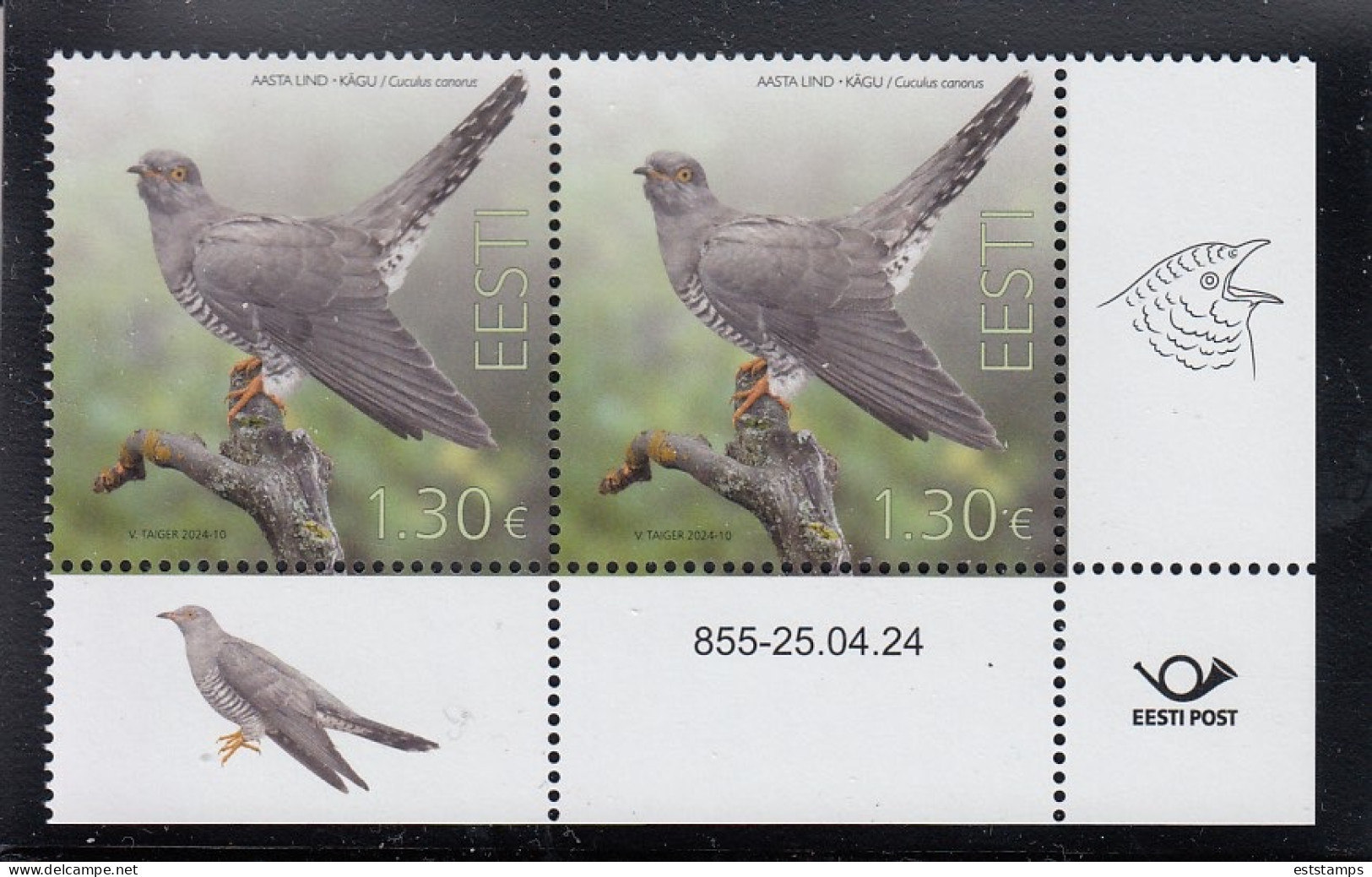 ESTONIA 2024- Bird Of The Year-the Common Cuckoo (25.04.24) - Estonia