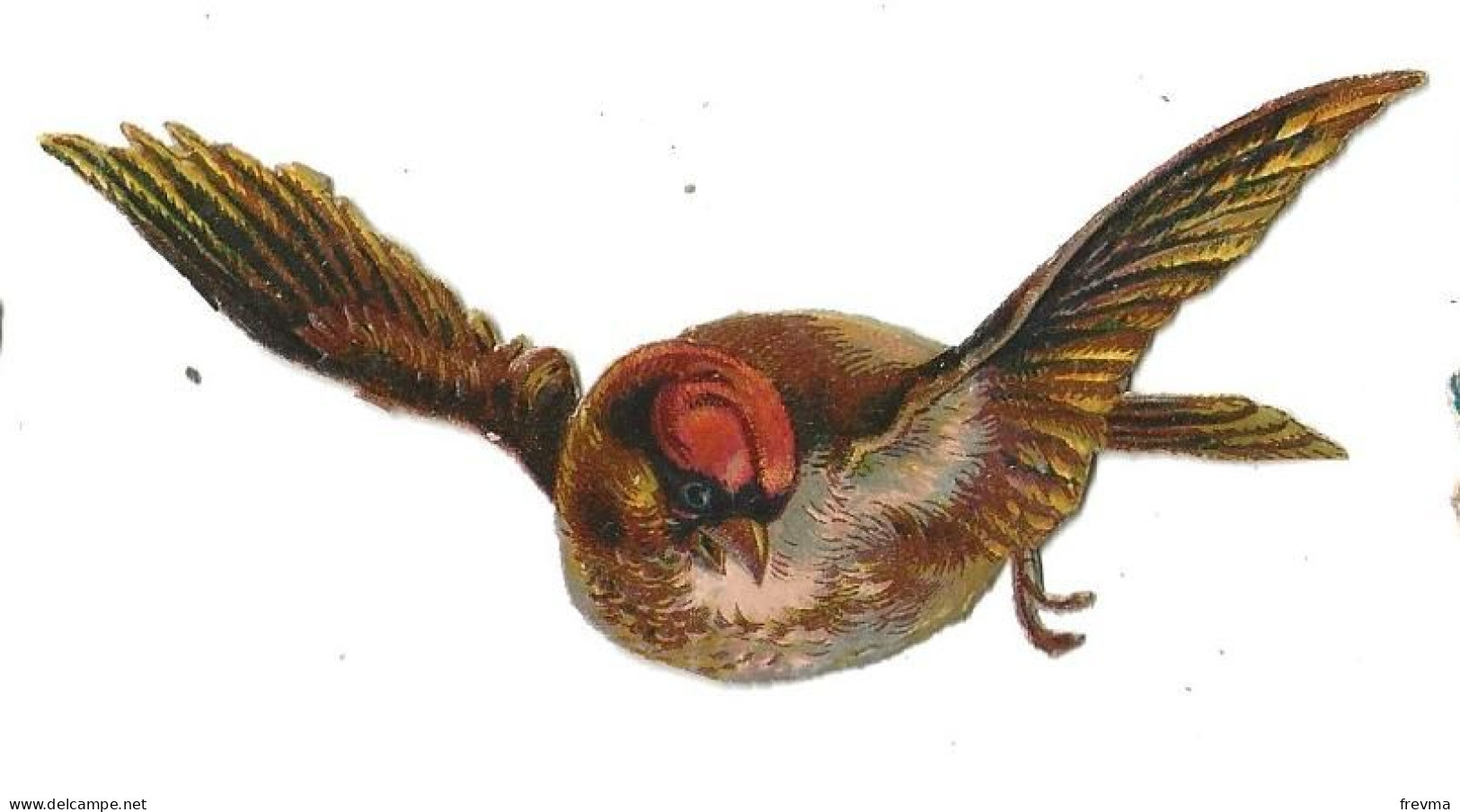 Decoupi Oiseau - Animaux