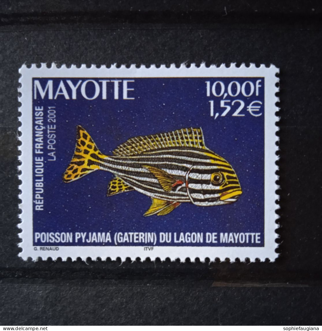 Mayotte Neuf N°102 - Ongebruikt