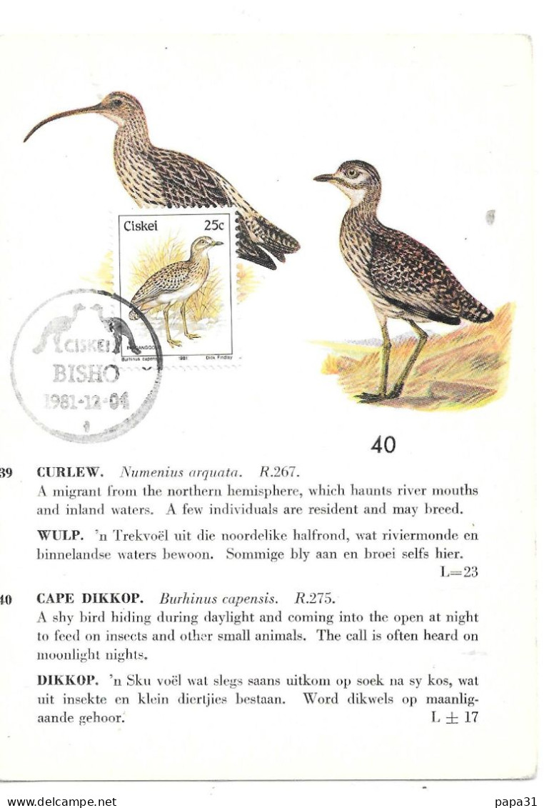 Curlew (nom Anglais Qui Signifie « Courlis - Vögel