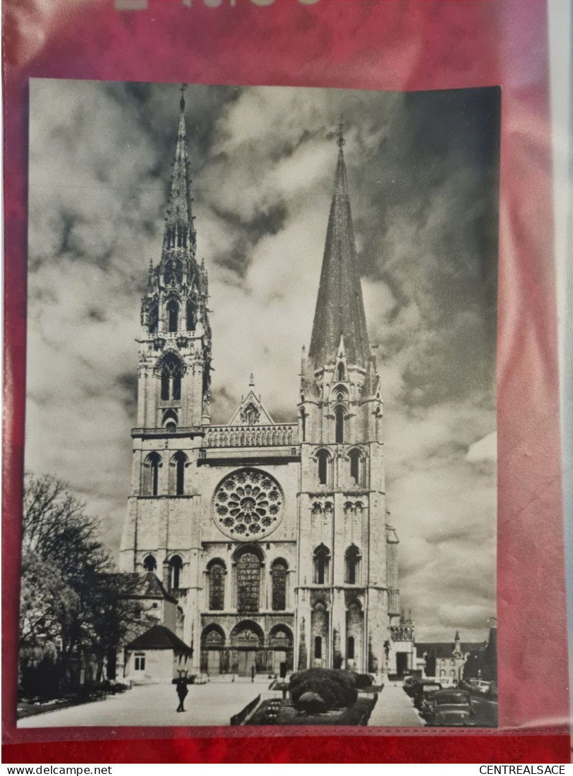 PHOTO  CATHEDRALE DE CHARTRES - Ohne Zuordnung