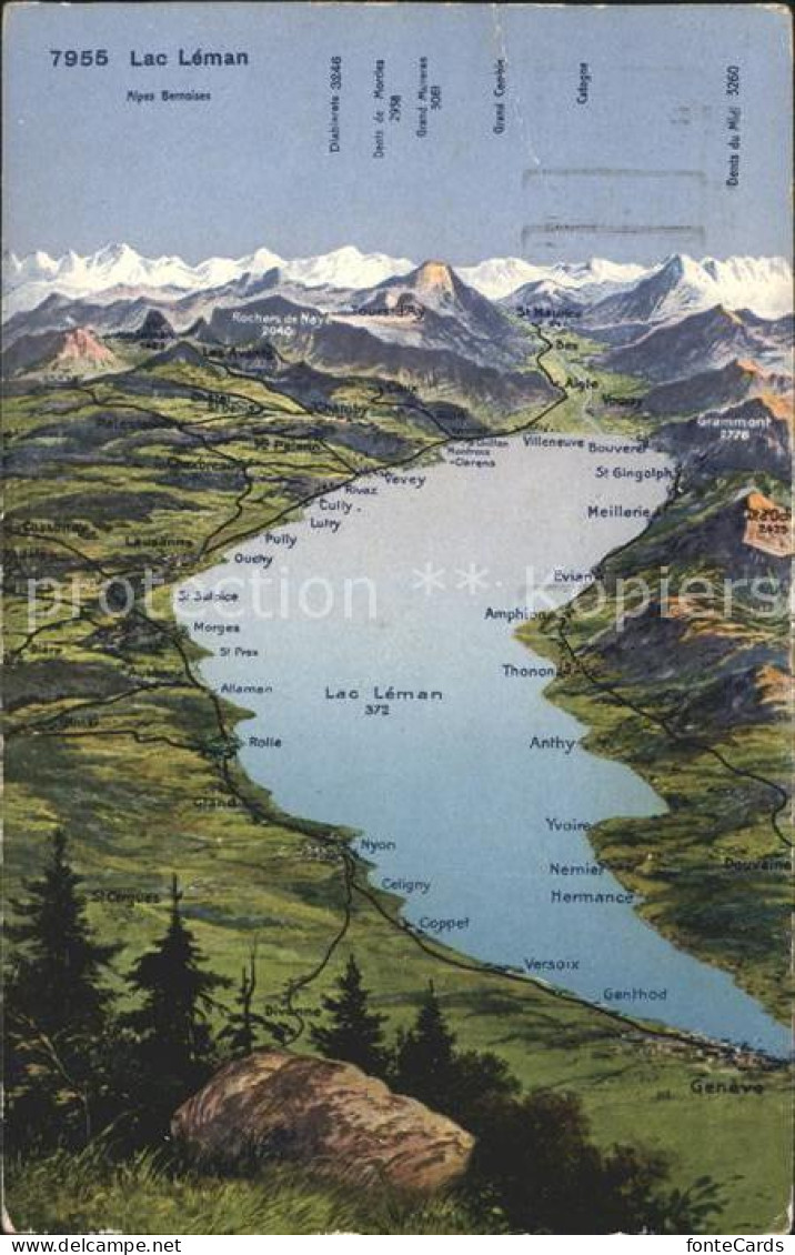 11651669 Lac Leman Genfersee Panorama Et Les Alpes Genf - Otros & Sin Clasificación