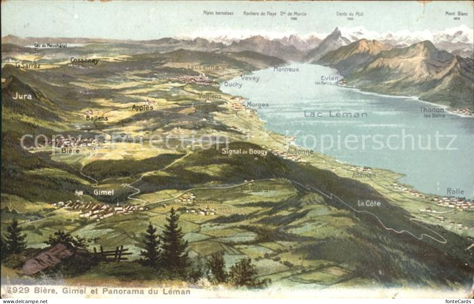 11651651 Gimel Biere Panorama Lac Leman Et Les Alpes Gimel - Sonstige & Ohne Zuordnung