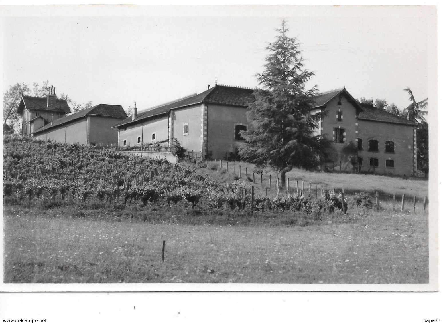 LAZUJUZAN - Distilerie  Moderne  Eaux De Vie D'Armagnac - Autres & Non Classés