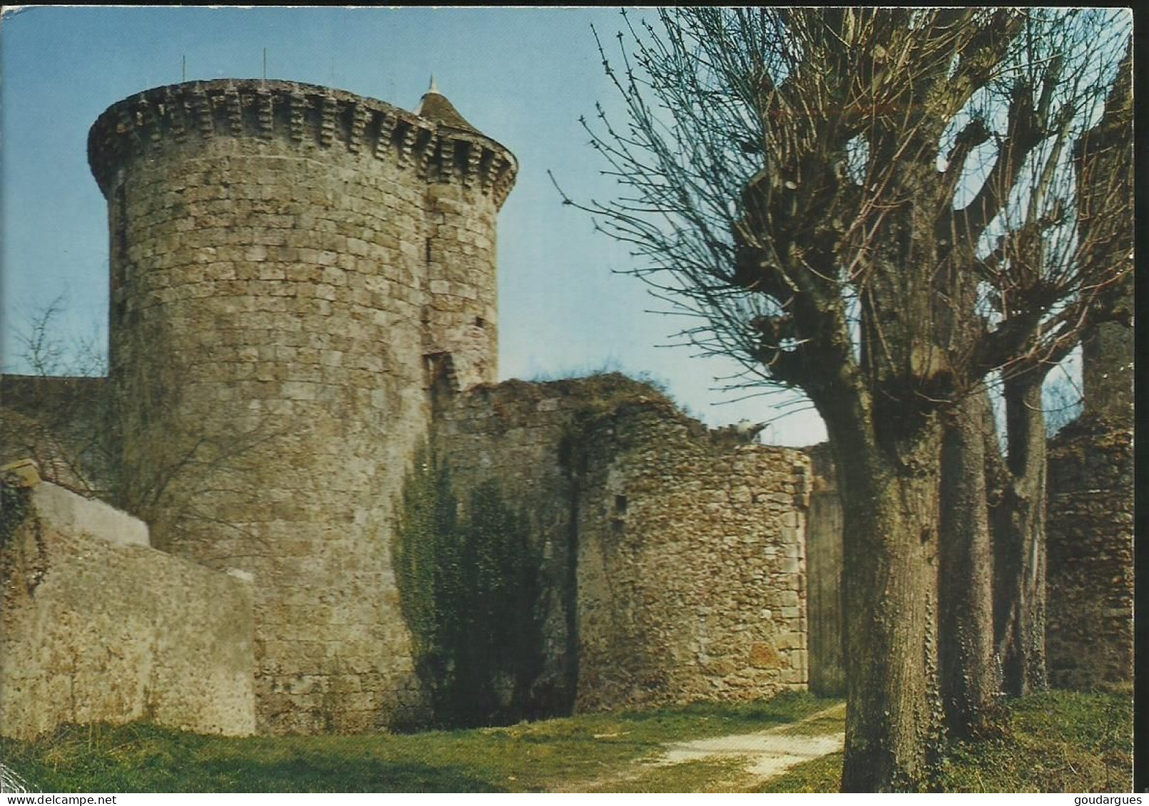 Chevreuse - Le Château De Chevreuse - La Madeleine - (P) - Chevreuse