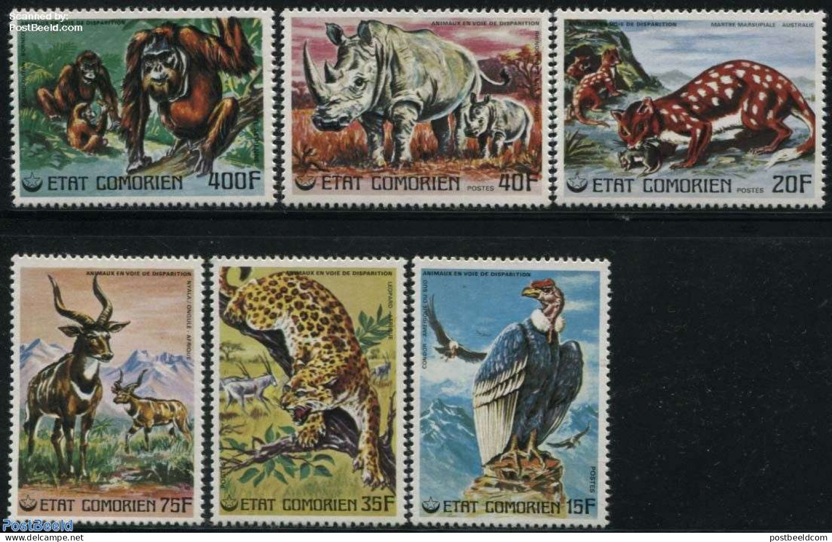 Comoros 1976 Endangered Animals 6v, Mint NH, Nature - Animals (others & Mixed) - Birds - Birds Of Prey - Cat Family - .. - Komoren (1975-...)