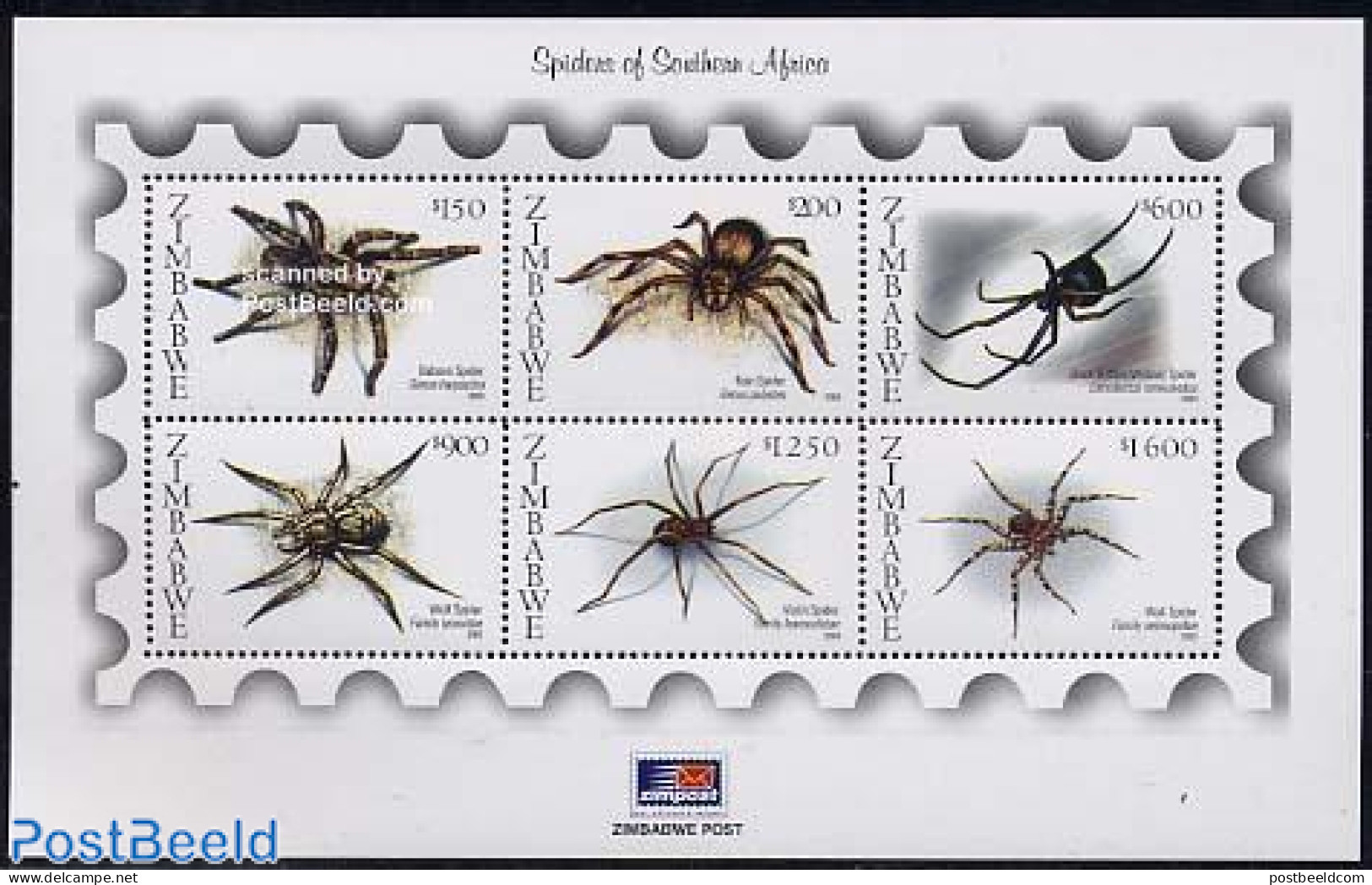 Zimbabwe 2003 Spiders 6v M/s, Mint NH, Nature - Insects - Zimbabwe (1980-...)
