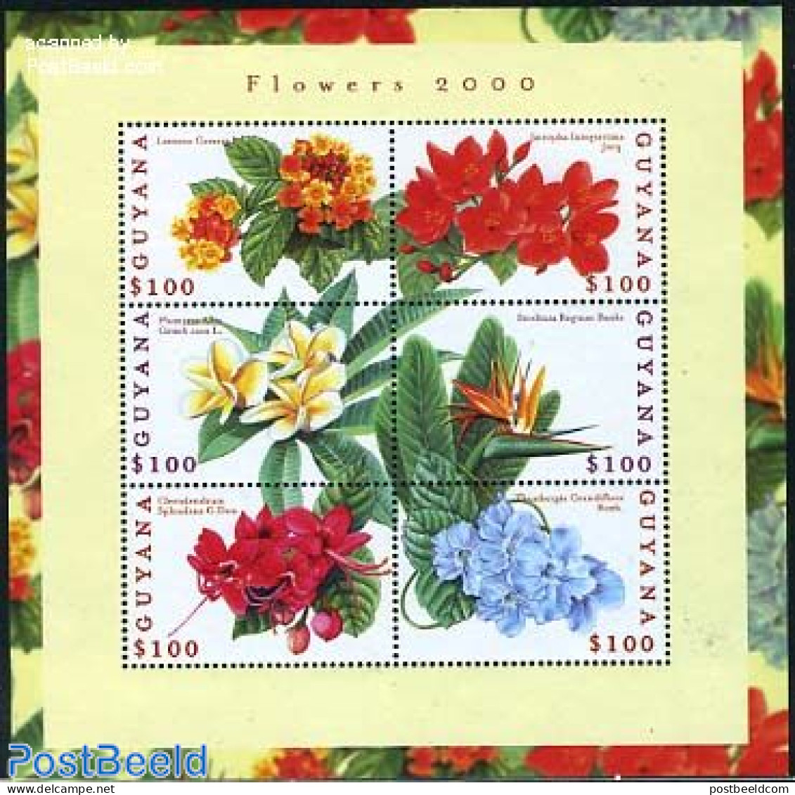 Guyana 2000 Flowers 6v M/s, Mint NH, Nature - Flowers & Plants - Guyana (1966-...)