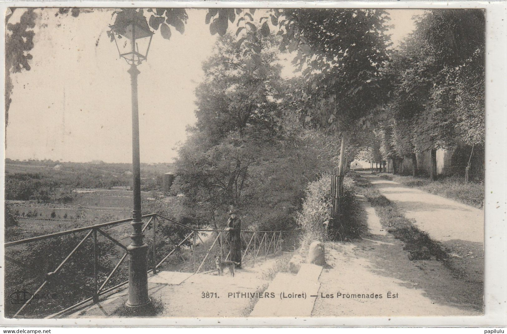 233 DEPT 45 : édit. Louis Lenormand N° 3871 : Pithiviers Les Promenades Est - Pithiviers