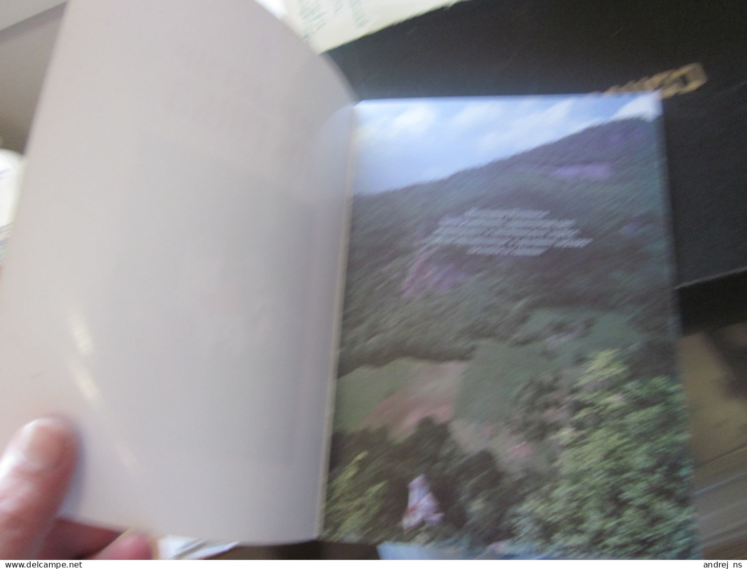 Manastir Pustinja Monastery Women's Monastery Serbia - Tourism Brochures