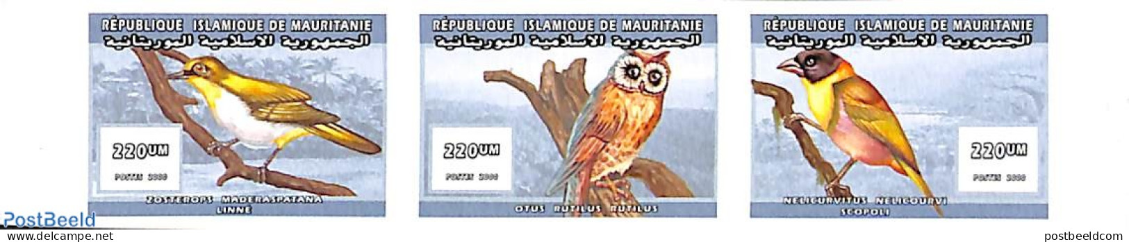 Mauritania 2000 Birds 3v, Imperforated, Mint NH, Nature - Birds - Owls - Other & Unclassified