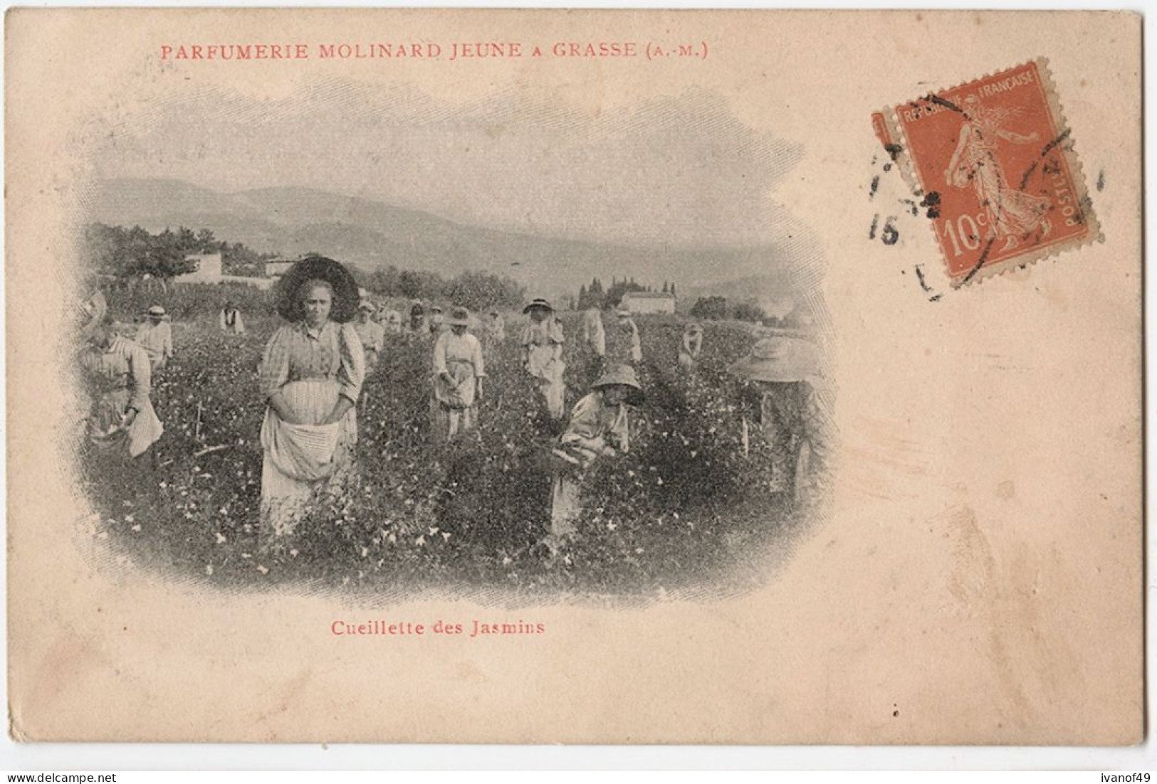 06 - GRASSE - Parfumerie MOLINARD JEUNE - CPA - Cueillette Des Jasmins - 1915 - Grasse