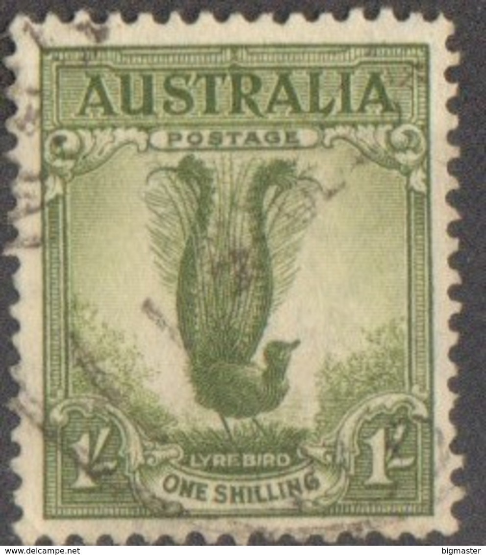 Australia U 1932 Superb Lyrebird (Menura Novaehollandiae) FU - Usados