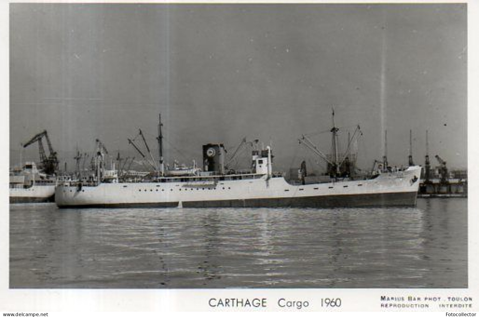 Cargo Carhage - Bateaux