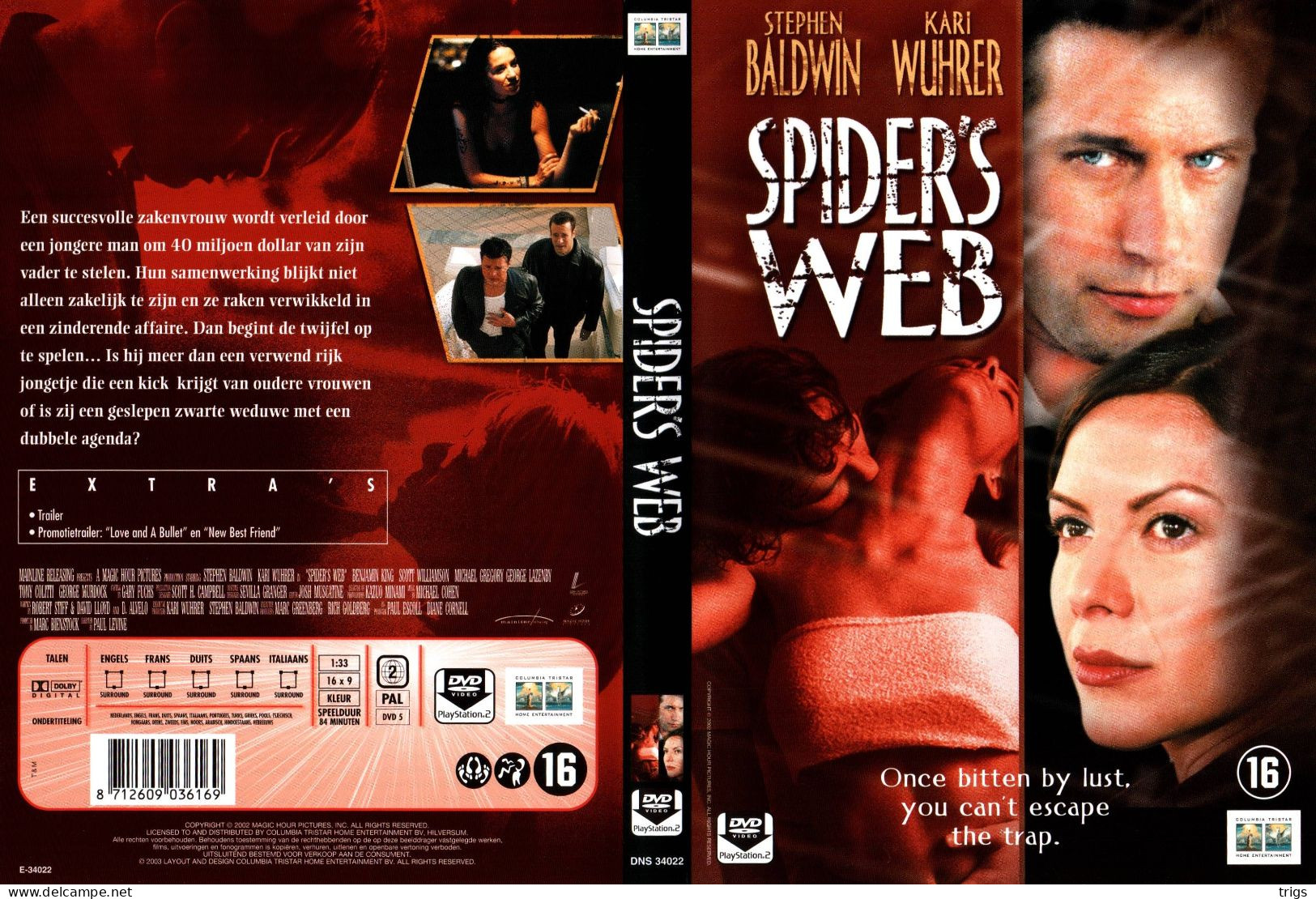 DVD - Spider's Web - Policíacos