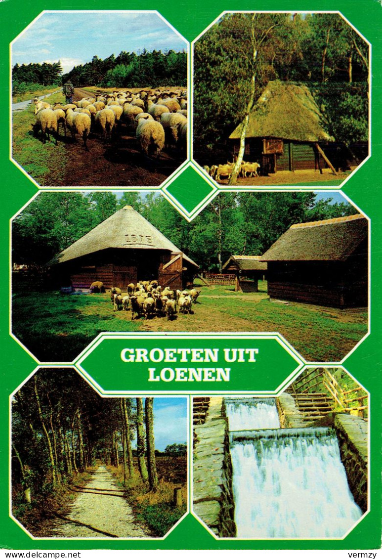 Groeten Uit LOENEN - Multivues - Andere & Zonder Classificatie